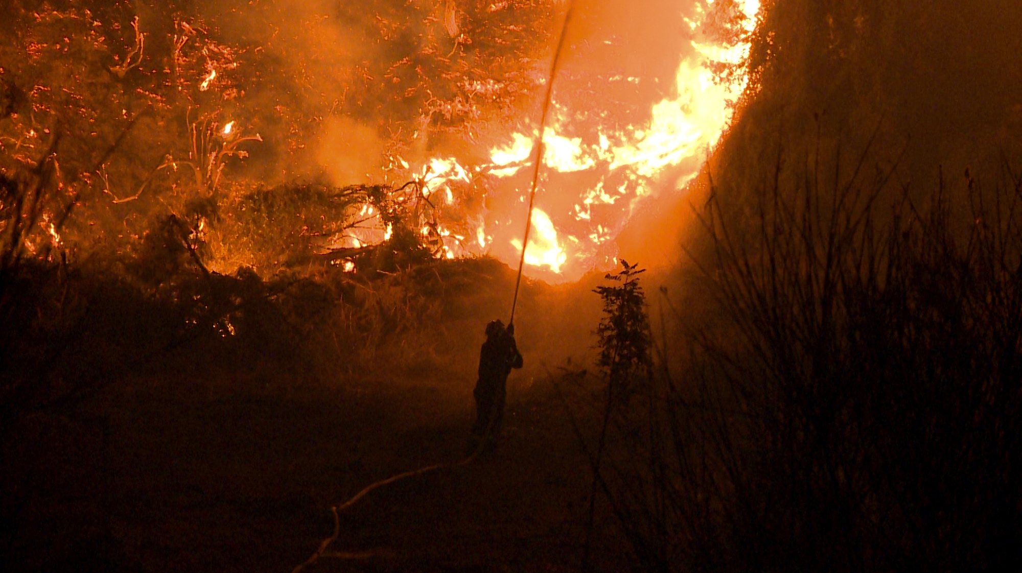 epa09409419 A firefighter sprays water during a wildfire in a forest area near the village of Kamatriades in Evia, on the night of 110 August 2021 (issued on 11 August 2021). Fires that broke out in Attica and Evia island this week have burned more than a quarter of a million stremmas, the National Observatory of Athens&#039; center Beyond said on 08 August. Some 76,150 stremmas (7,615 hectares) have been burnt so far in northern Attica. In Evia island the surface area of burnt land is measured at 197,940 stremmas (19,794 hectares). These figures concern only the fires in Attica and Evia, but dozens of large fires have affected several areas across the country.  EPA/SPIROS KOUROS