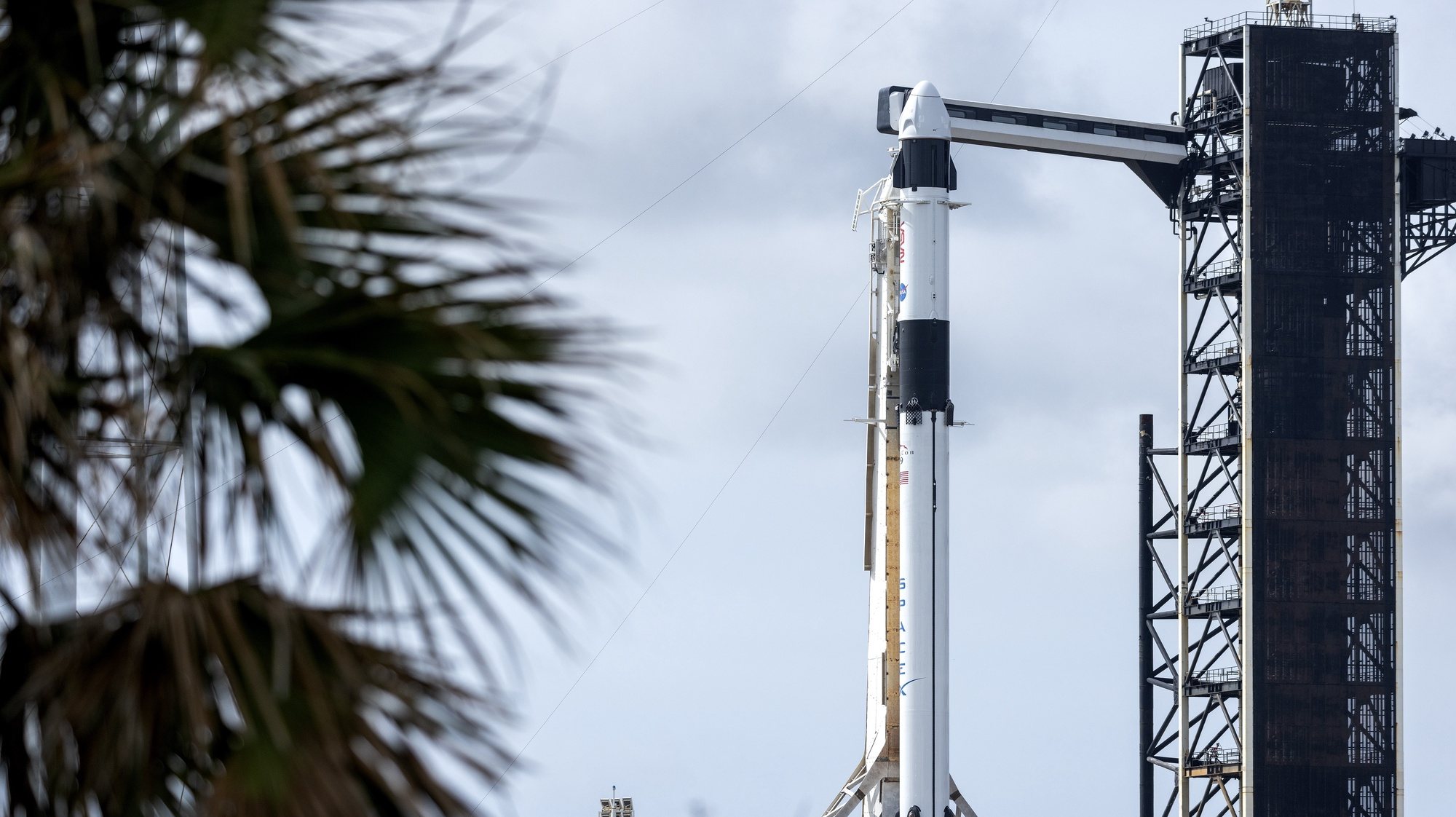 epa11194635 The NASA SpaceX Dragon Endeavour spacecraft on a Falcon 9 rocket, that will carry the Crew-8, the eighth crew rotation mission, is docked at the Kennedy Space Center Launch Complex 39A as part of its launch preparations, in Florida, USA, 02 March 2024. According to NASA, SpaceX&#039;s Crew-8 mission is the ninth flight to the International Space Station (ISS) with astronauts, including the Demo-2 test flight, as part of NASA&#039;s Commercial Crew Program.  EPA/CRISTOBAL HERRERA-ULASHKEVICH