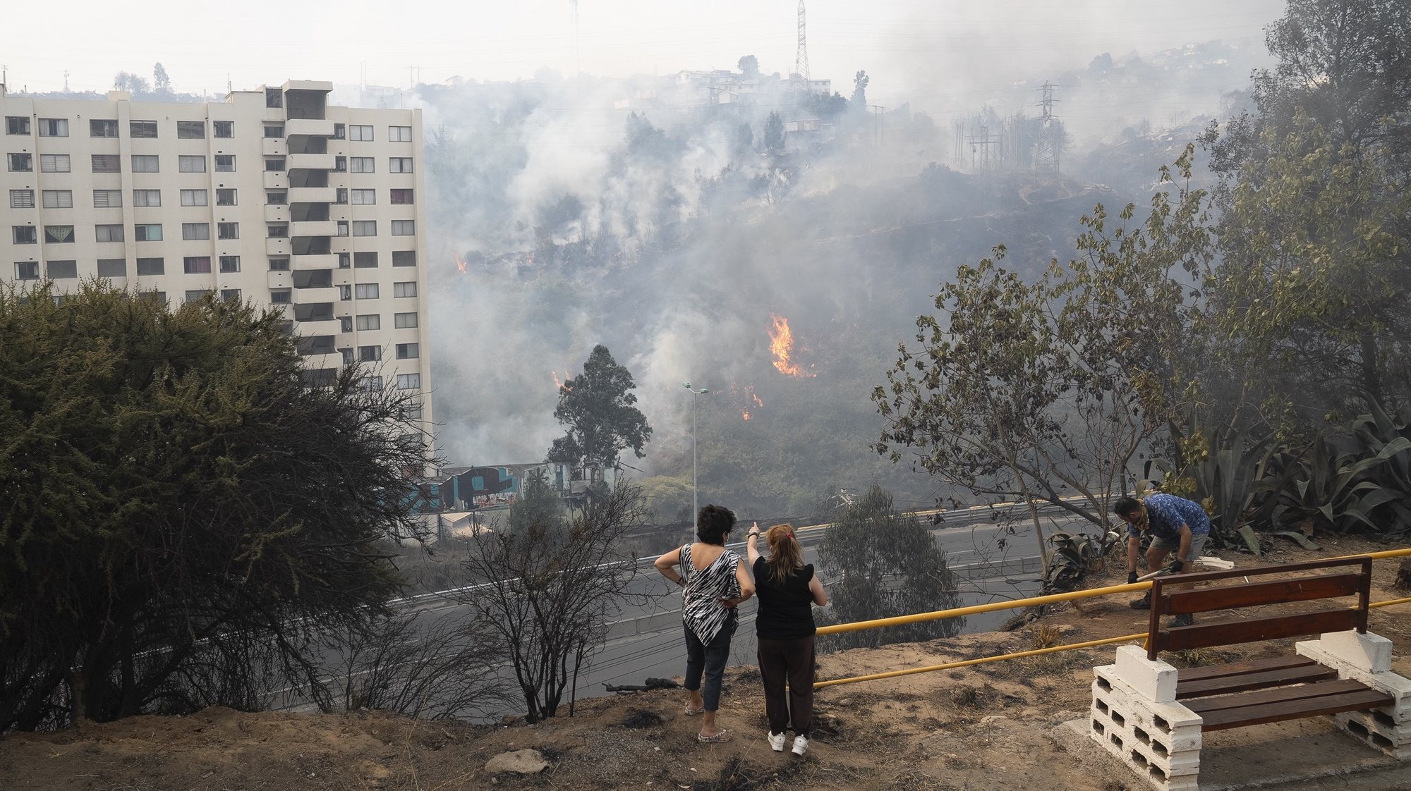 epaselect epa11124885 People observe the forest fires affecting the Beagle Channel area, Vina del Mar, Valparaiso Region, Chile, 03 February 2024. The fires in the central region of Valparaiso have caused at least 19 deaths, according to official reports.  EPA/ADRIANA THOMASA
