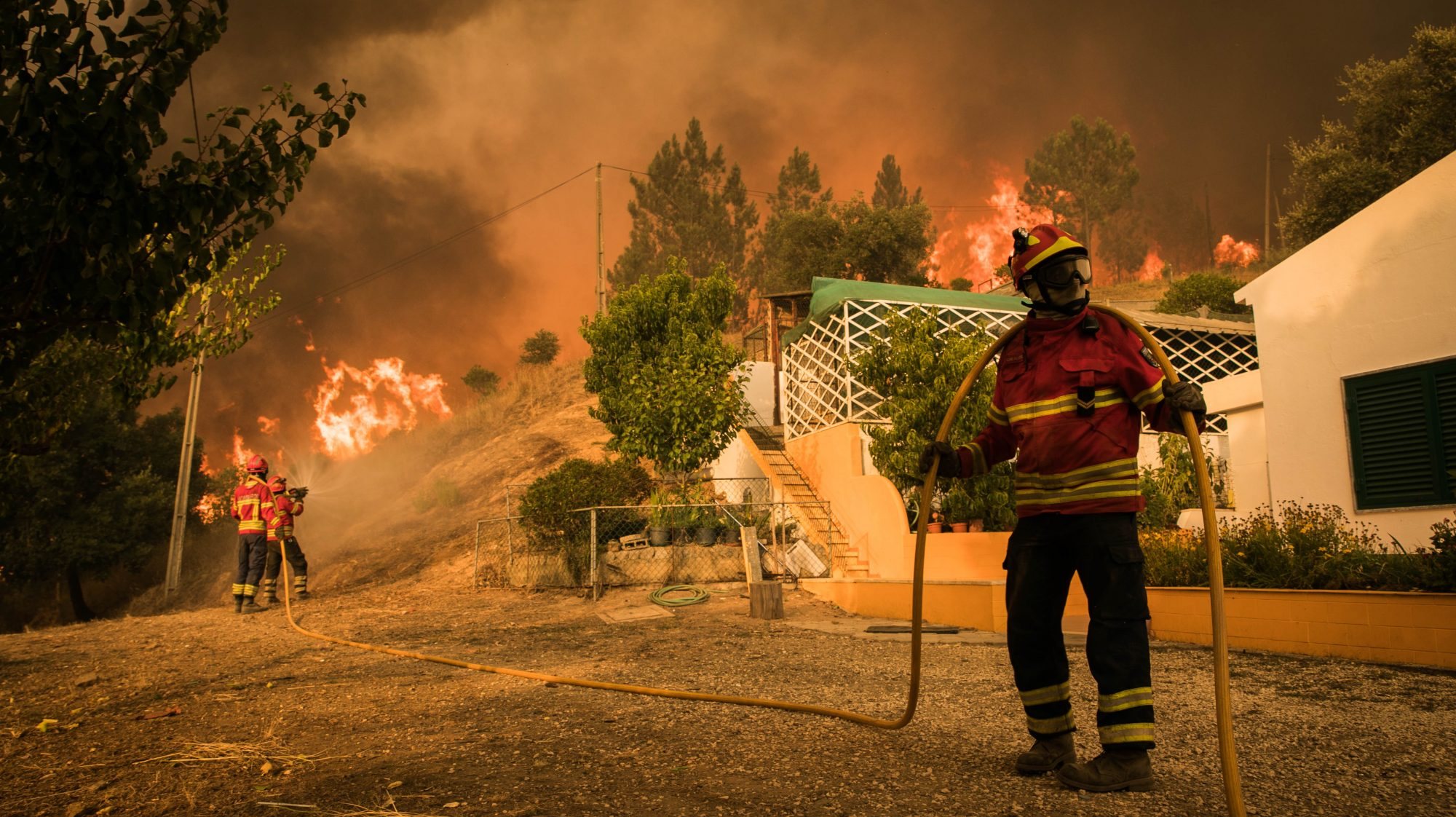 Imagem de arquivo de incêndio de 2018 em Monchique.