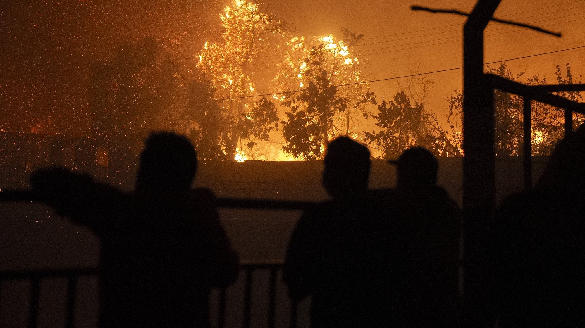 epa11122237 Locals look at burning trees after a fire that started in the Penuelas Lake natural reserve reached urban areas in Vina del Mar, Chile, 02 February 2024. The first major forest fire of the summer threatens the coastal cities of Valparaiso and Vina del Mar, forcing the evacuation of several inland communes, with smoke reaching the beaches of Concon, Quintero and Maitencillo, almost a hundred kilometers from the fire epicenter.  EPA/ADRIANA THOMASA