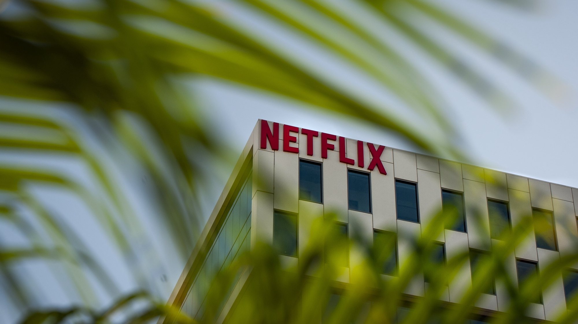 Netflix: podes continuar a partilhar a tua conta, sem taxas extra, durante  o verão de 2022 - 4gnews