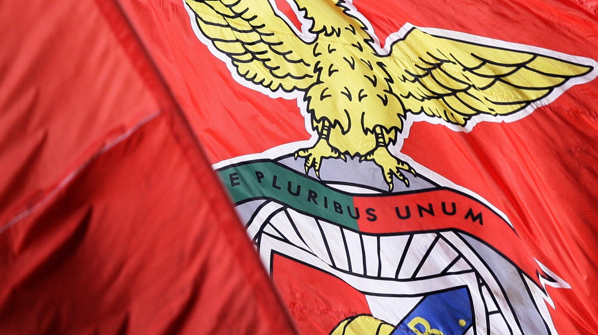 Desporto: Bandeira do Benfica