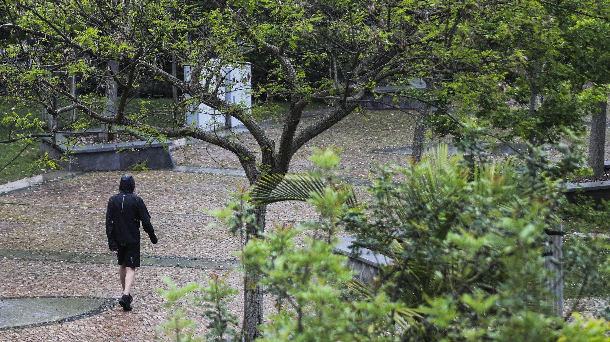 Um homem passeia no Parque dos Poetas em Oeiras que reabriu hoje após ter estado encerrado ao público por causa da pandemia do covid-19, Oeiras, 10 de maio de 2020. MIGUEL A. LOPES/LUSA