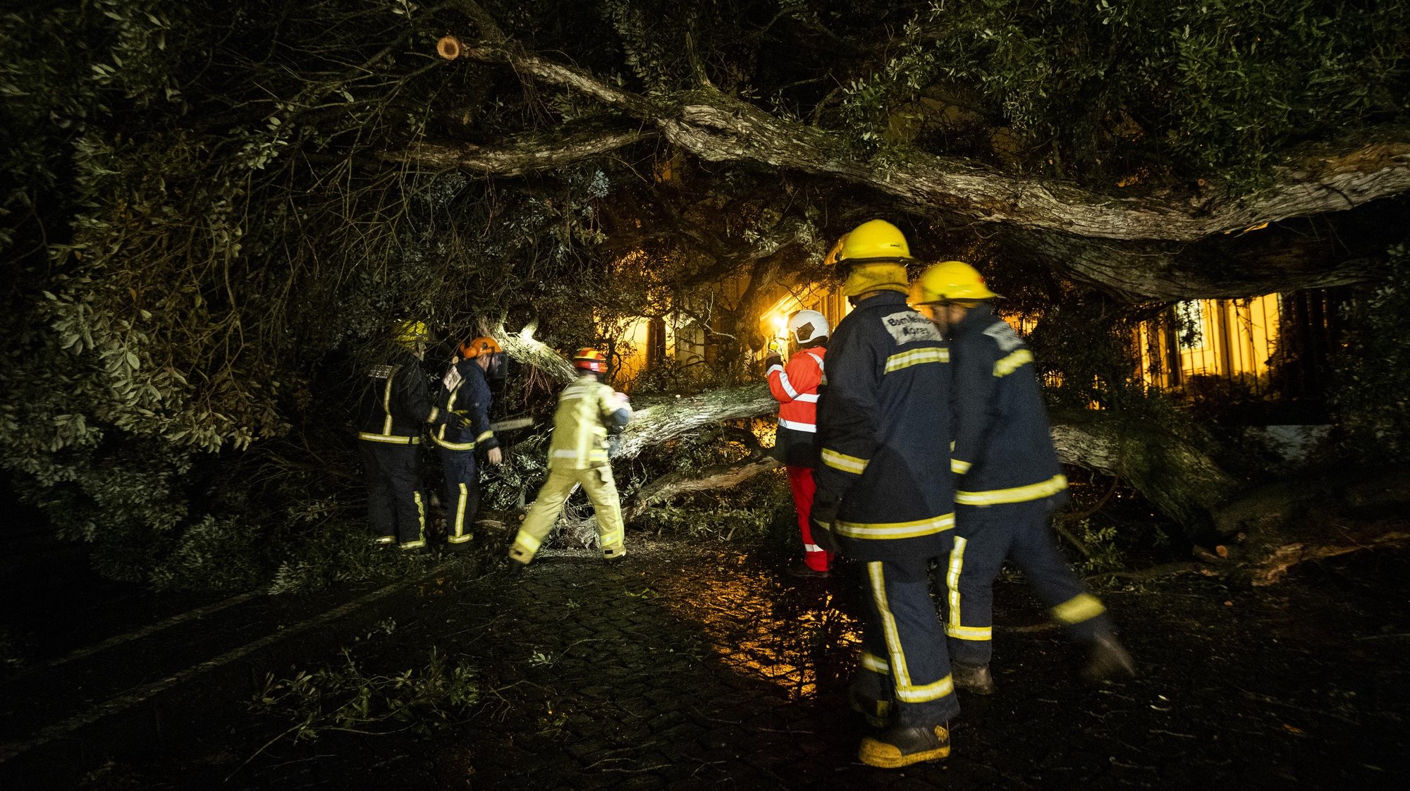 Elementos dos bombeiros e da proteção civil junto à árvore de grande porte após a queda na Rua do Marquês, devido ao mau tempo em Angra do Heroísmo, na Ilha Terceira, Açores, 27 de janeiro de 2020. ANTÓNIO ARAÚJO/LUSA