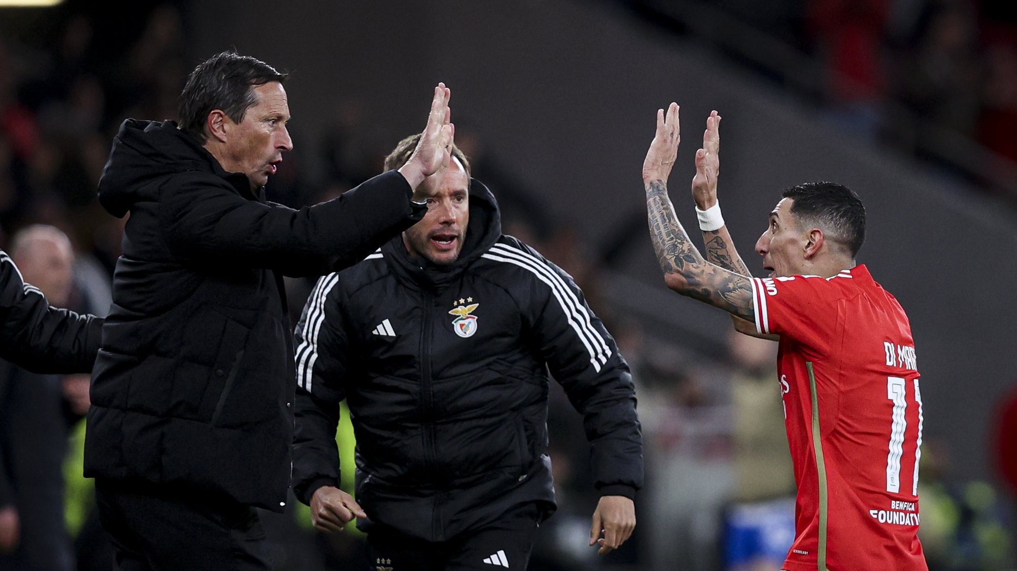 Benfica&#039;s Di Maria (R) celebrates with Benfica&#039;s head coach Roger Schmidt (L) after Rangers’ owngoal during the UEFA Europe League round of sixteen first leg soccer match between Benfica and Glasgow Rangers held at Luz Stadium, in Lisbon, Portugal, 07 March 2024. FILIPE AMORIM/LUSA