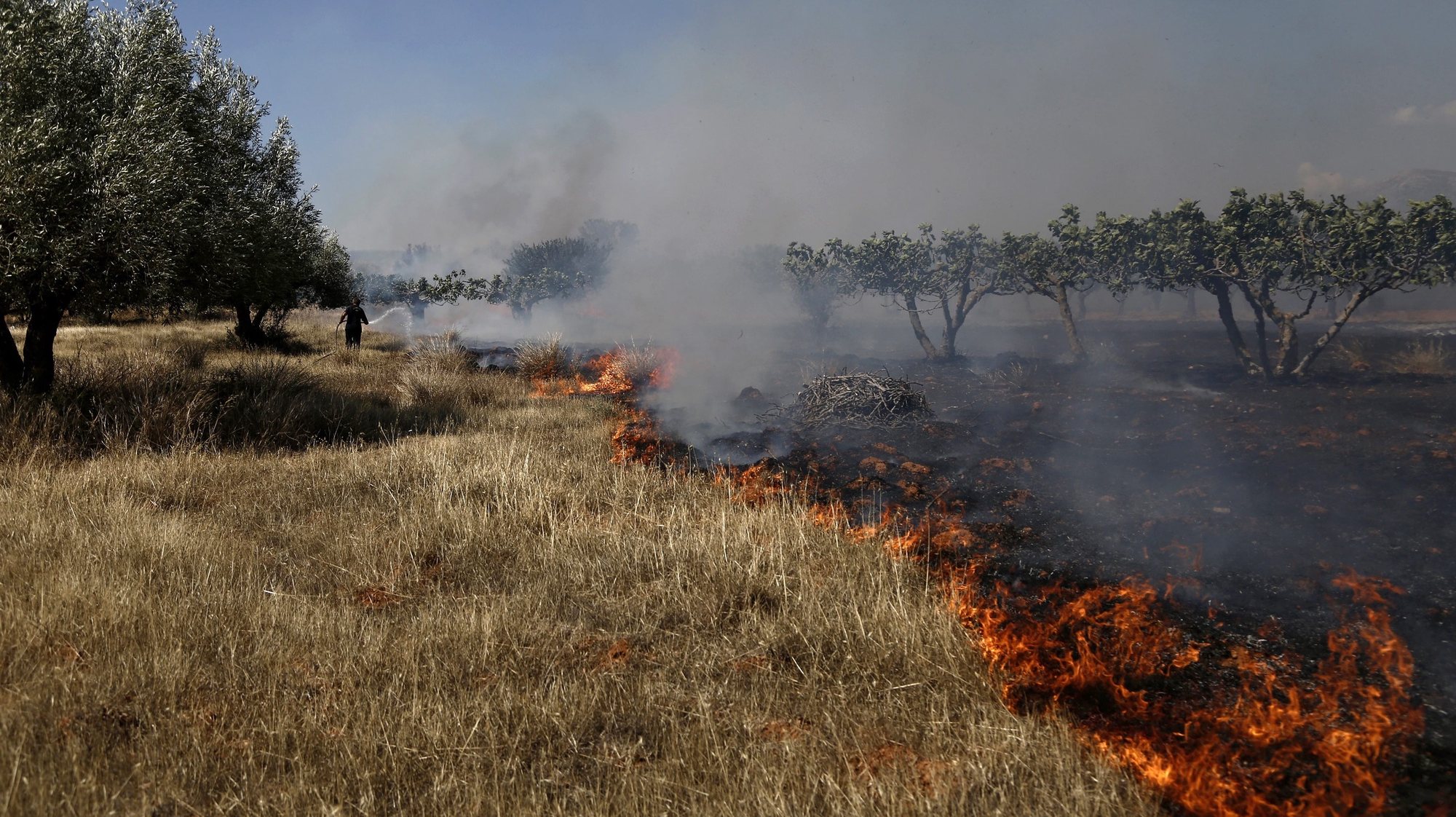 epa05407088 A firefighter tries to extinguish flames during a bush fire in Koropi, near Athens, Greece, 04 July 2016. According to the fire brigade, high fire risk due to high temperatures and strong winds is recorded in different regions of Greece.  EPA/YANNIS KOLESIDIS