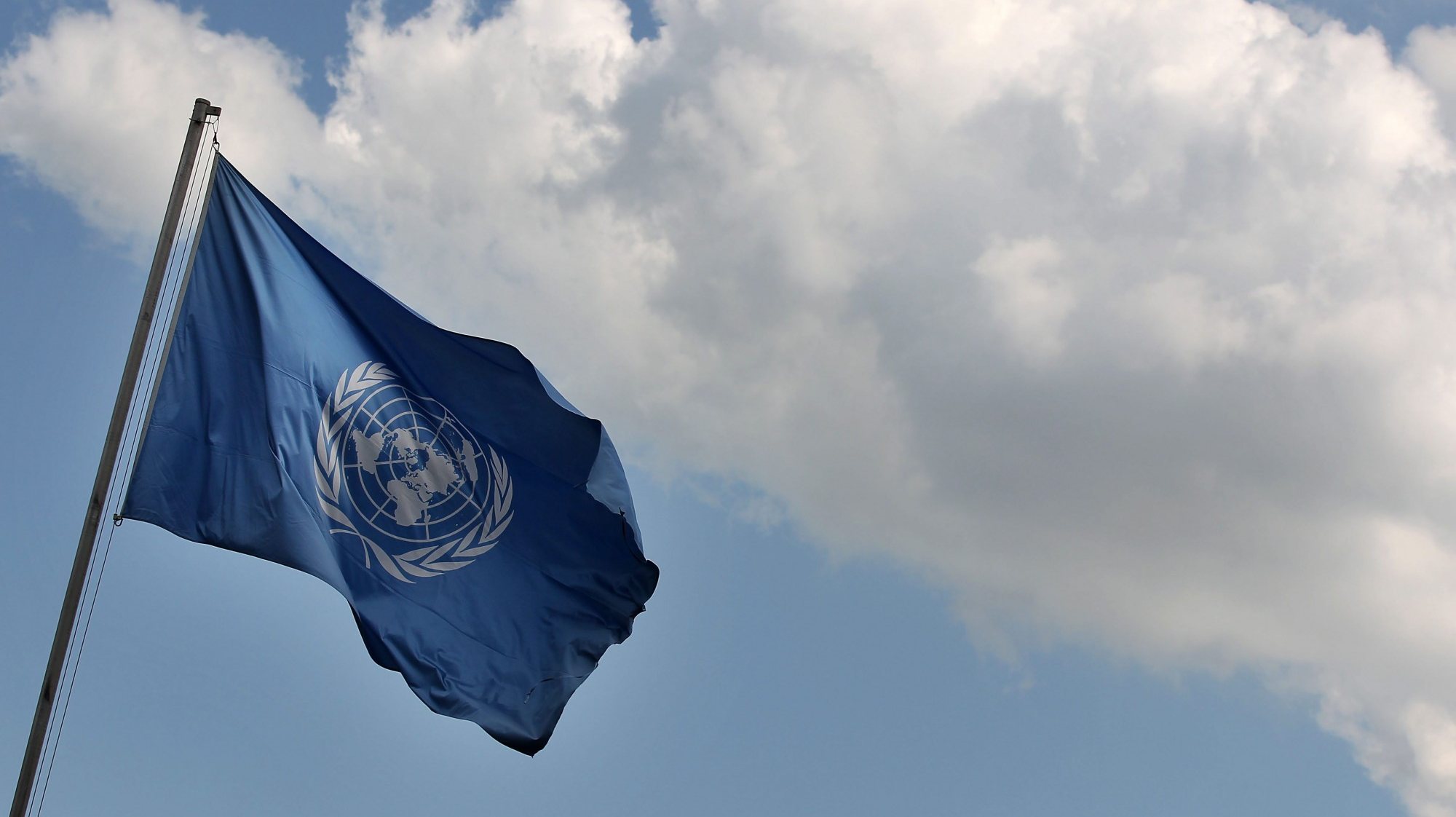 Bandeira da ONU