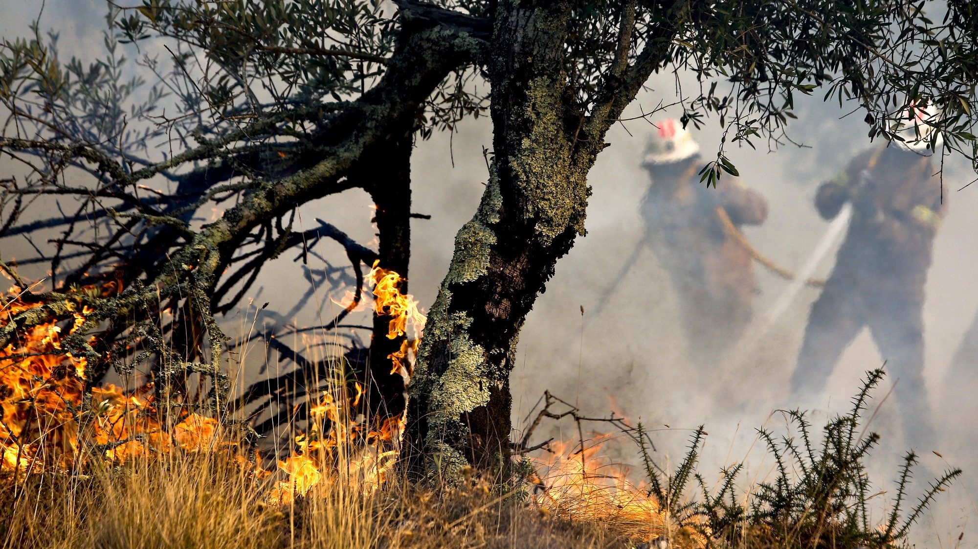 Incêndio florestal em Soure, que deflagrou na segunda-feira e que tinha sido dado como dominado, mas hoje estava novamente ativo na sequência de um reacendimento, 06 de setembro de 2016. PAULO NOVAIS/LUSA