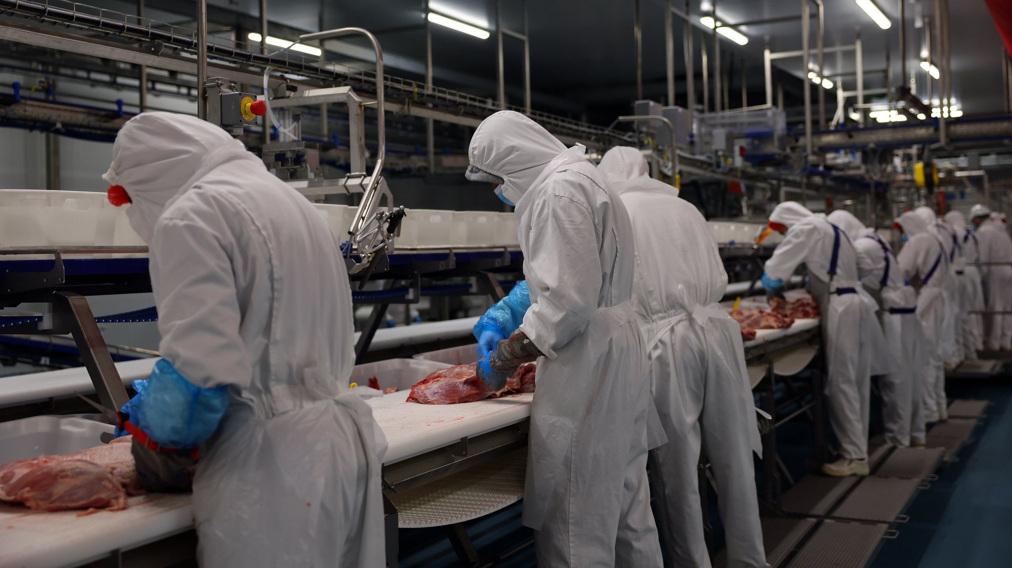 Trabalhadores na unidade agroalimentar de produção de carne de suínos da Maporal. Reguengos de Monsaraz, 28 de fevereiro de 2023. NUNO VEIGA/LUSA