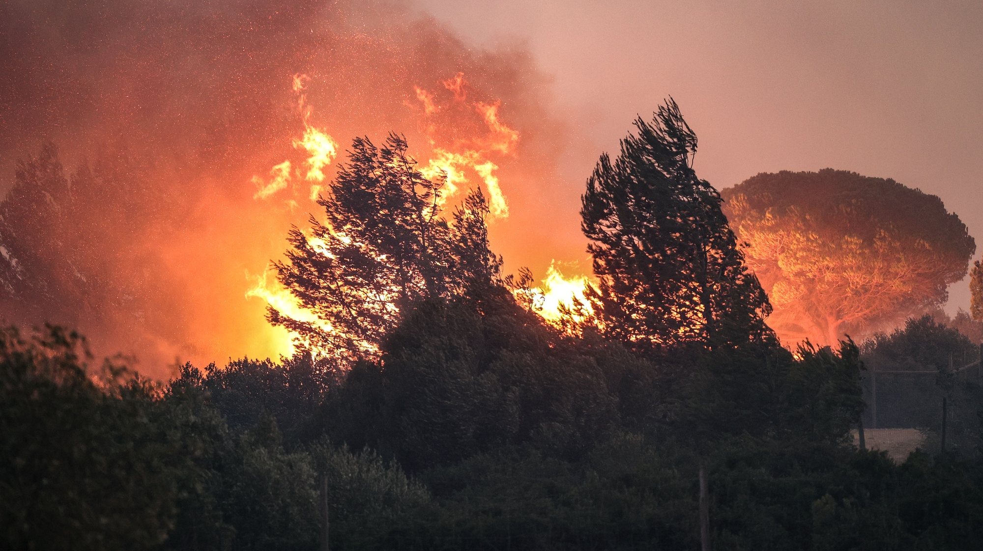 Bombeiros combatem as chamas no Alto do Alvide, Cascais, 25 de julho de 2023. 423 operacionais, apoiados por 111 veículos e 14 meios aéreos combatem um incêndio que deflagrou em Alcabideche, no concelho de Cascais e que já causou ferimentos ligeiros num bombeiro. MANUEL DE ALMEIDA/LUSA