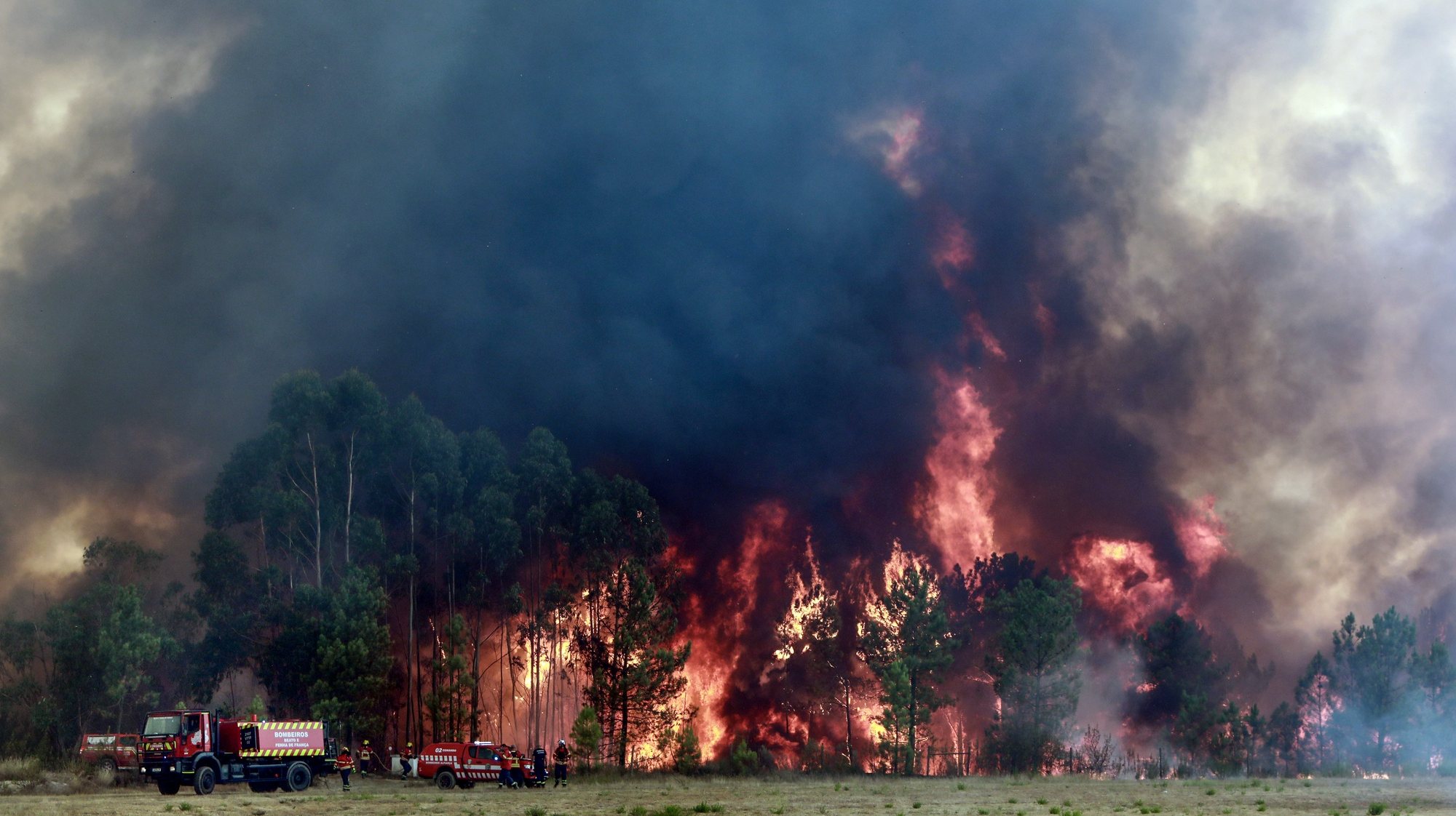 Os bombeiros combatem um incêndio de grandes dimensões que ameaça o aeródromo de Proença-a-Nova, distrito de Castelo Branco. O incêndio que deflagrou na sexta-feira, em Castelo Branco, tem três frentes ativas no concelho vizinho de Proença-a-Nova, 05 de agosto de 2023. MIGUEL PEREIRA DA SILVA / LUSA