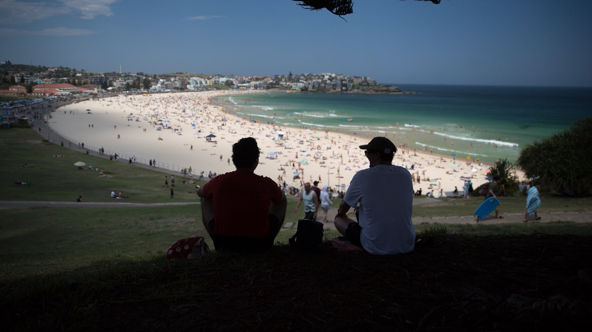 epa11018420 People sit in the shade above Bondi Beach in Sydney, Australia, 09 December 2023. A heatwave across four states has led to numerous outback towns reaching temps into the 40Cs, raising concerns for bushfires and workplace safety.  EPA/BRENT LEWIN  AUSTRALIA AND NEW ZEALAND OUT