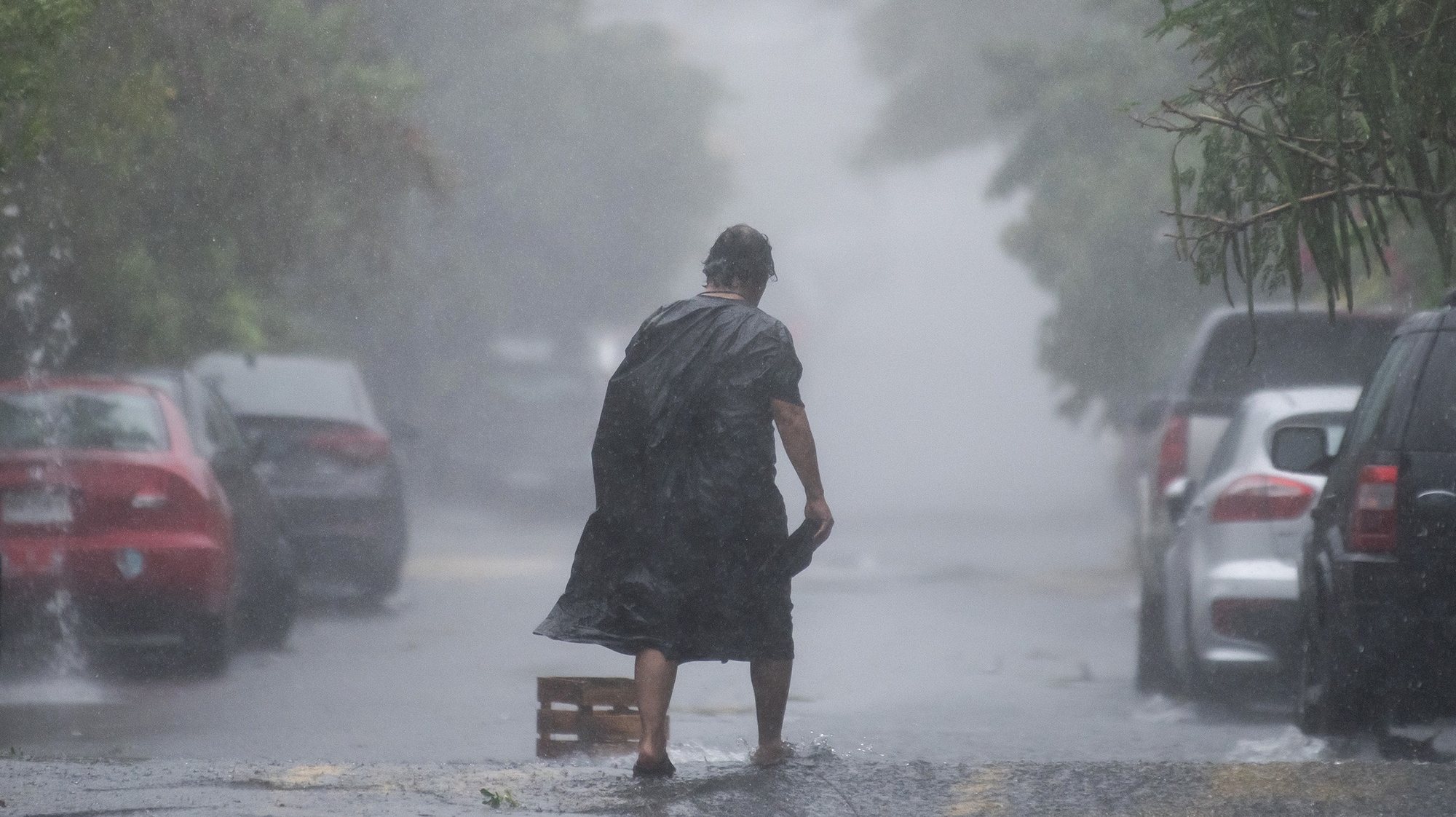 epa11426540 A person walks in the rain in Monterrey, Nuevo Leon, Mexico, 20 June 2024. The first cyclone of the Atlantic season, Alberto, degraded on 20 June from a storm to a tropical depression as it passed over northeastern Mexico, where it will still bring &#039;torrential&#039; rains, warned the National Meteorological Service (SMN).  EPA/Miguel Sierra
