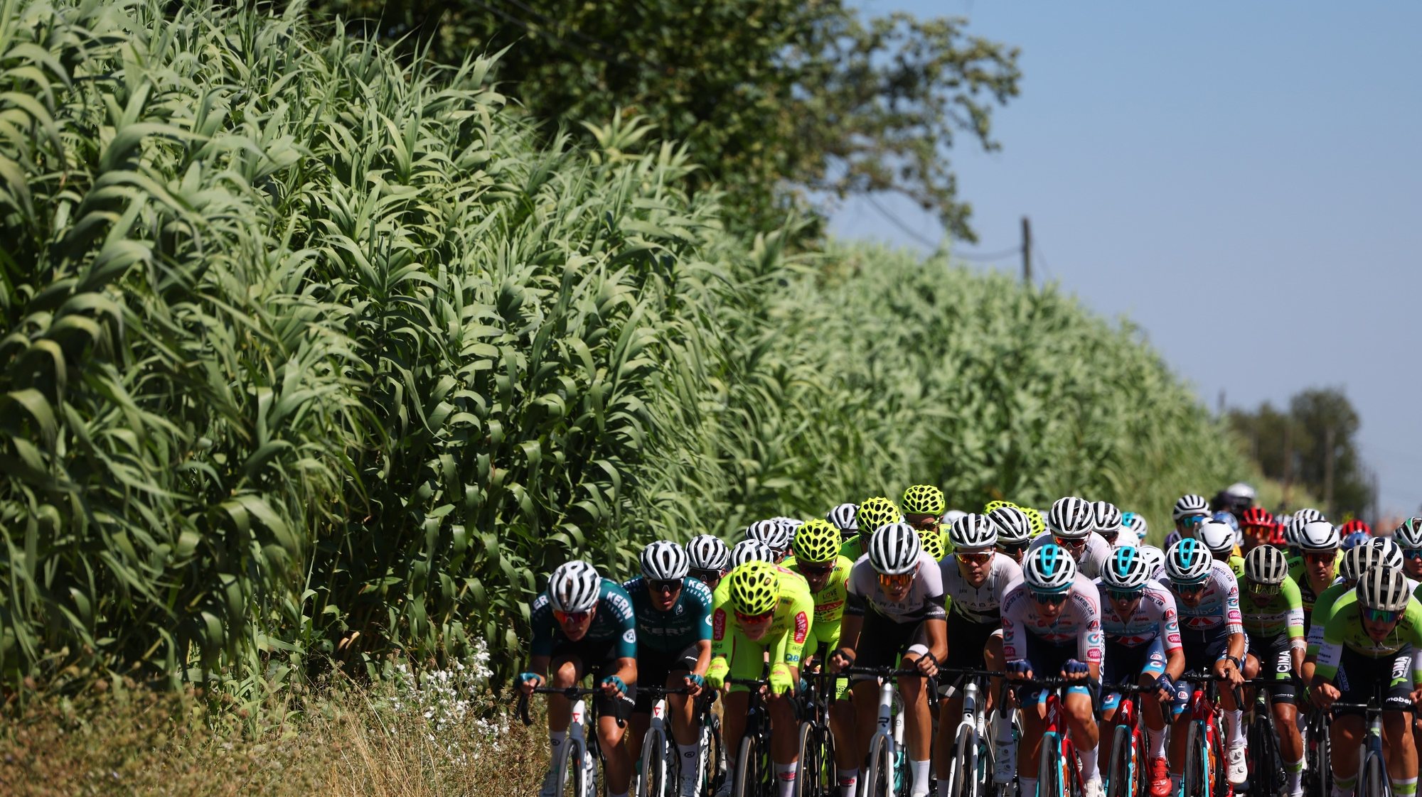 epa11497654 The peloton in action during the 2nd stage of the 85th Portugal Cycling Tour, over 164.5 km between Santarem and Lisbon, Portugal, 26 July 2024.  EPA/NUNO VEIGA