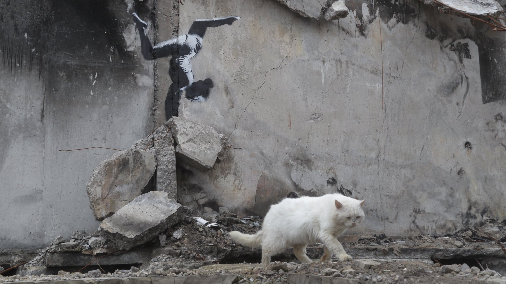 epaselect epa10303594 A cat walks past a mural depicting a gymnast and attributed to British street artist Banksy, at a wall of a building that was destroyed during shelling in Borodyanka, Ukraine, 13 November 2022.  A photo of the gymnast mural in Borodyanka was shared by Banksy on his social media channel on 11 November, while other works attributed to him in different locations in Ukraine and resembling Banksy&#039;s style have not been shared on the artist&#039;s channel yet. Russian troops entered Ukraine on 24 February 2022, starting a conflict that has provoked destruction and a humanitarian crisis.  EPA/SERGEY DOLZHENKO