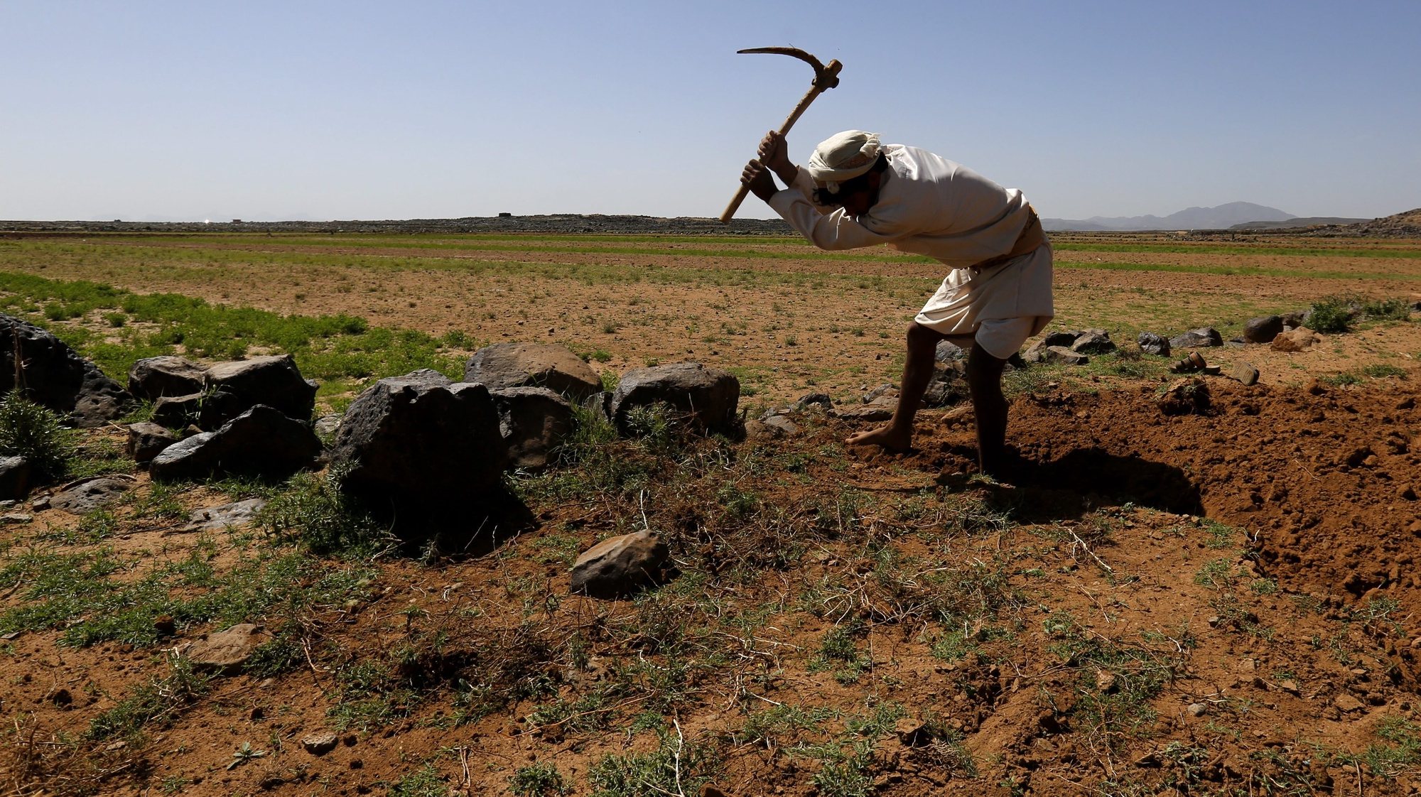epa05304407 A Yemeni farmer uses a grubber to break the soil of dry farmland near Hamdan district on the outskirts of Sana&#039;a, Yemen, 13 May 2016. According to reports, the Food and Agriculture Organization (FAO) has reported around 14.4 million people, over half of Yemen&#039;s population, urgently need food security and livelihood assistance, after more than a year of war between Yemen’s Saudi-backed government and Houthi rebels, pushing the war-affected country to the brink of humanitarian disaster.  EPA/YAHYA ARHAB