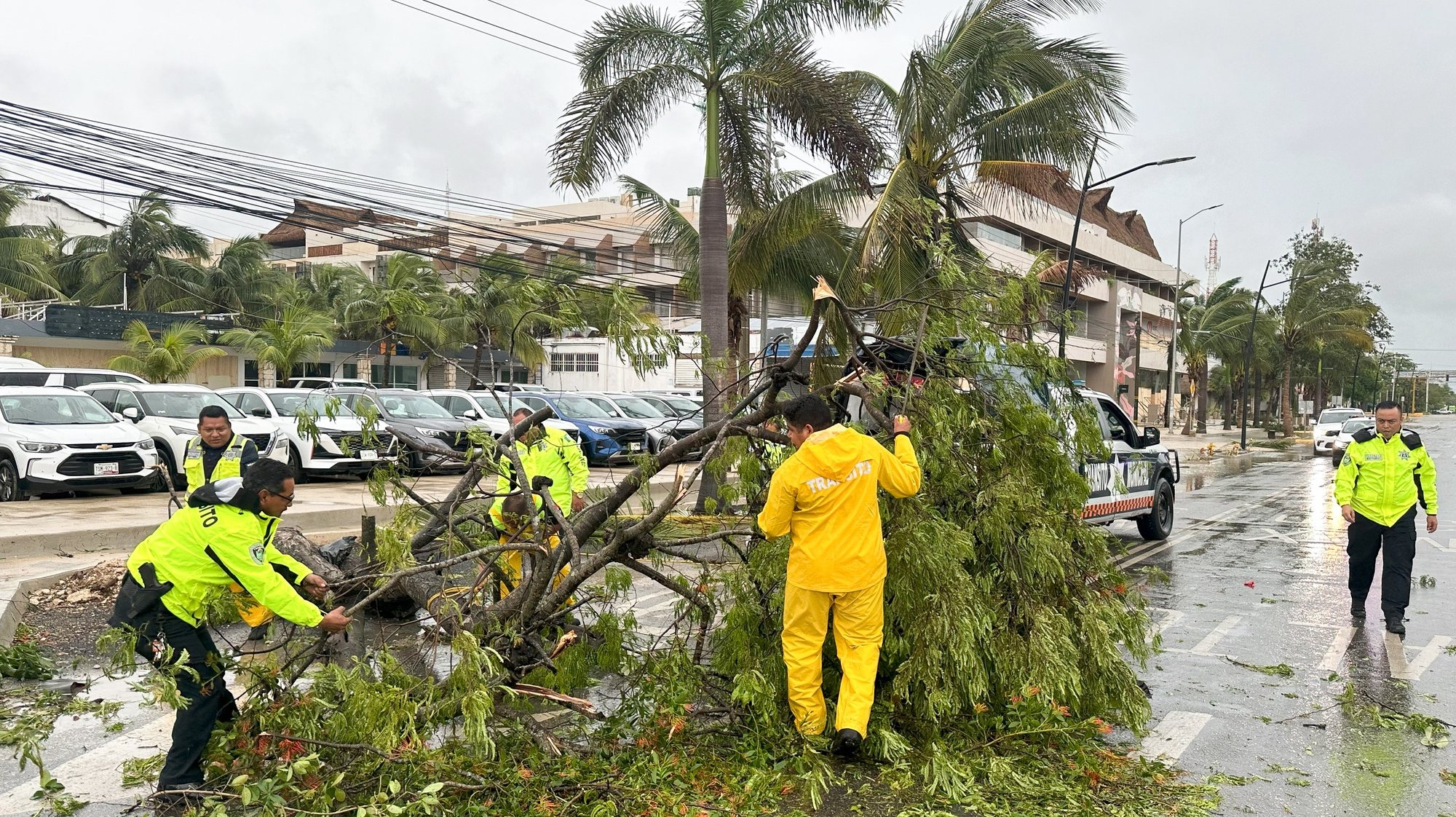 epa11459800 Police officers and Civil Protection members clear fallen trees following the passage of Hurricane Beryl in the municipality of Tulum, Quintana Roo, Mexico, 05 July 2024. Hurricane Beryl made landfall early 05 July morning north of the municipality of Tulum, Quintana Roo, in the Mexican Caribbean, but so far there have been no reports of injuries or fatalities, reported Laura Velazquez, the Civil Protection coordinator.  EPA/Alonso Cupul