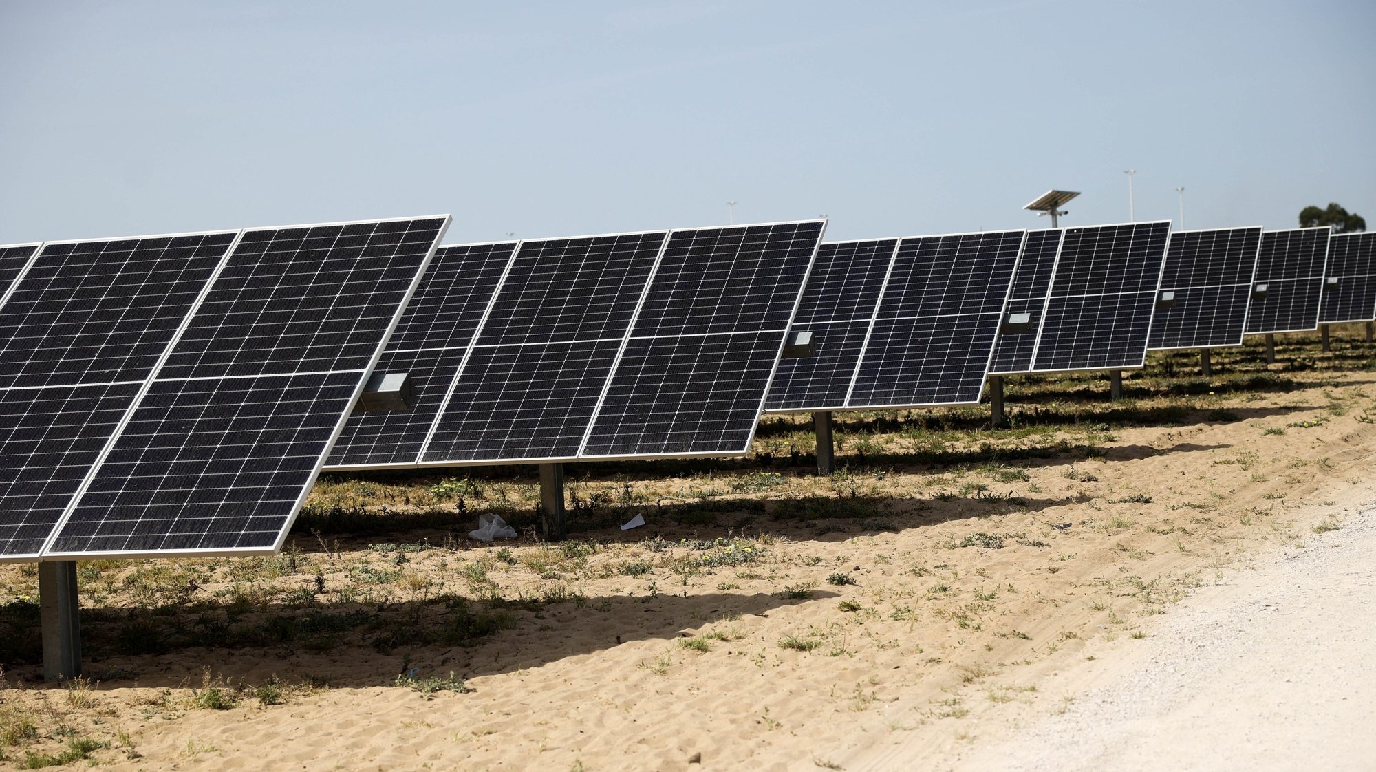 Central Solar Fotovoltaica de Pessegueiro, no dia da inauguração pelo ministro do Ambiente e Ação Climática, Duarte Cordeiro (ausente da fotografia), em Setúbal, 29 de março de 2023. ANTÓNIO COTRIM/LUSA