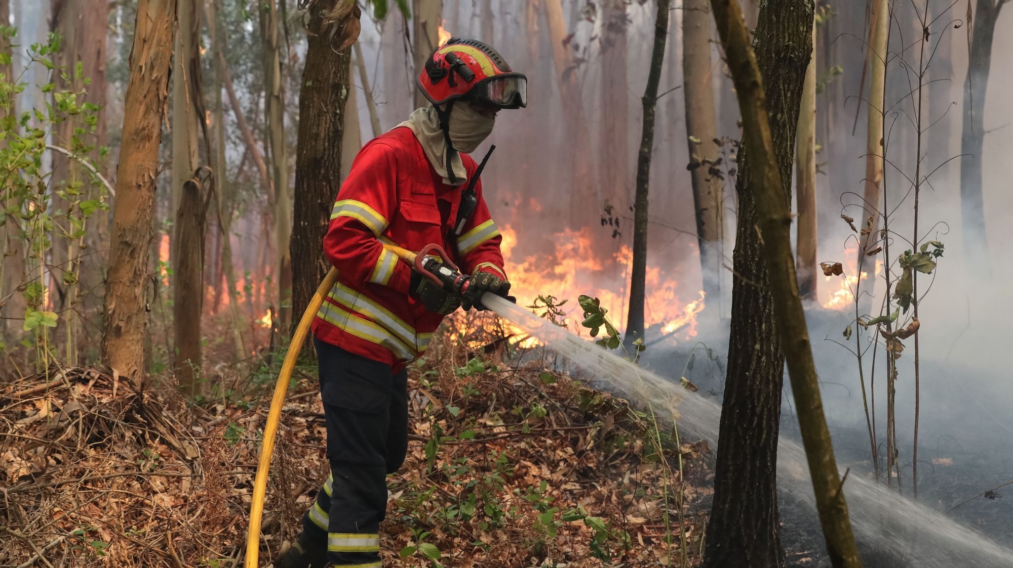 Queimada feita pelo homem de 71 anos esteve na origem de um incêndio florestal