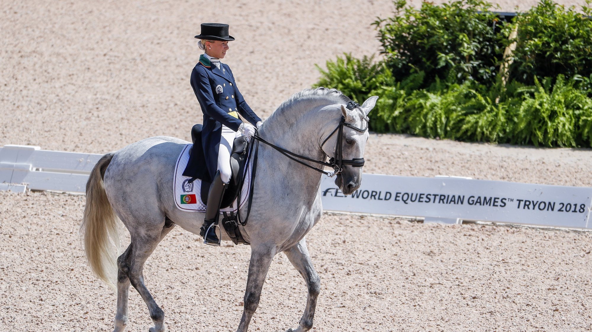 epa07018202 Maria Caetano of Portugal competes aboard Coroado during the team championship Grand Prix de Dressage at the FEI World Equestrian Games 2018 at the Tryon International Equestrian Center in Mill Spring, North Carolina, USA, 13 September 2018. The World Equestrian Games continue through 23 September 2018.  EPA/ERIK S. LESSER