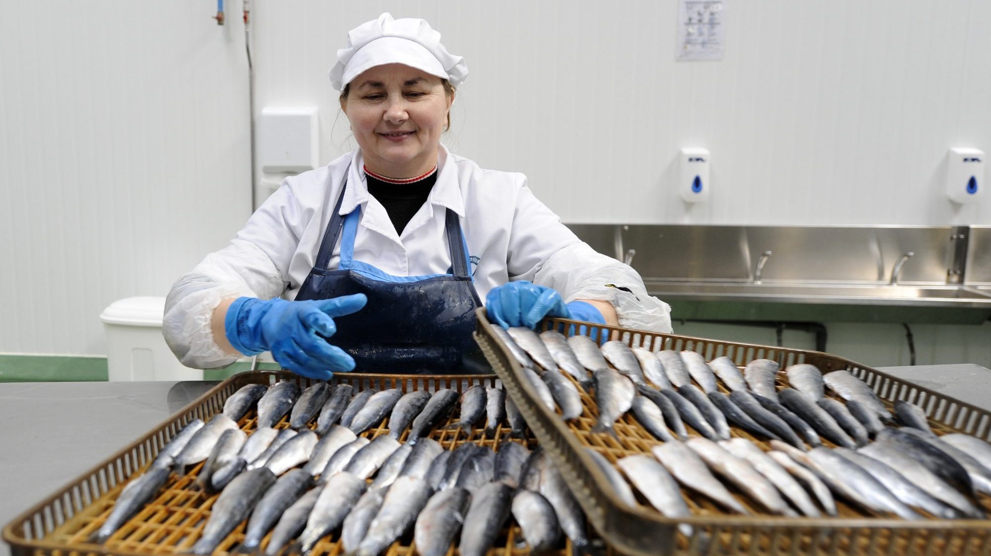 Ingestão de peixes gordos, como sardinha, são uma das recomendações para prevenir carência de vitamina D