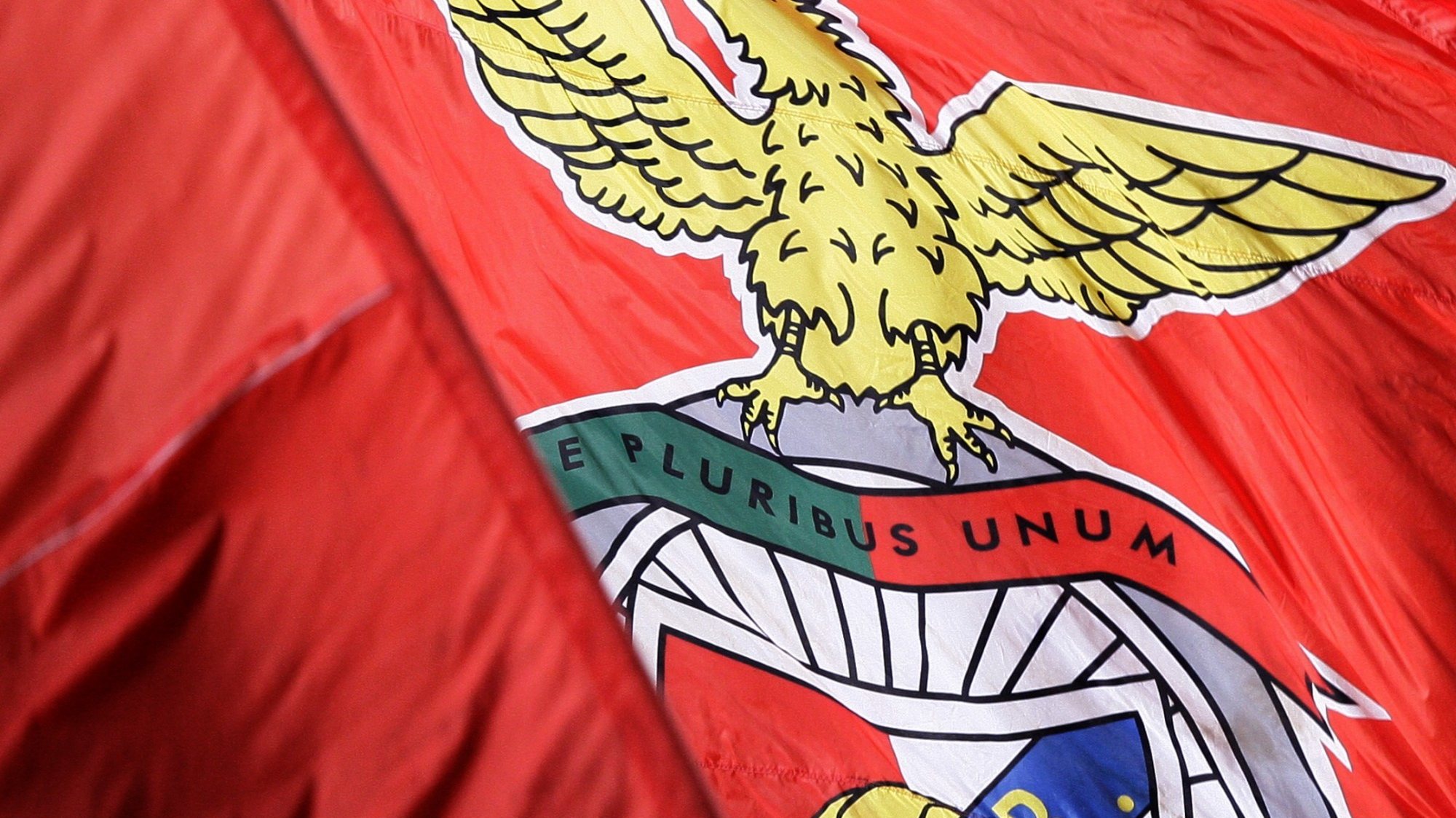 Desporto: Bandeira do Benfica
