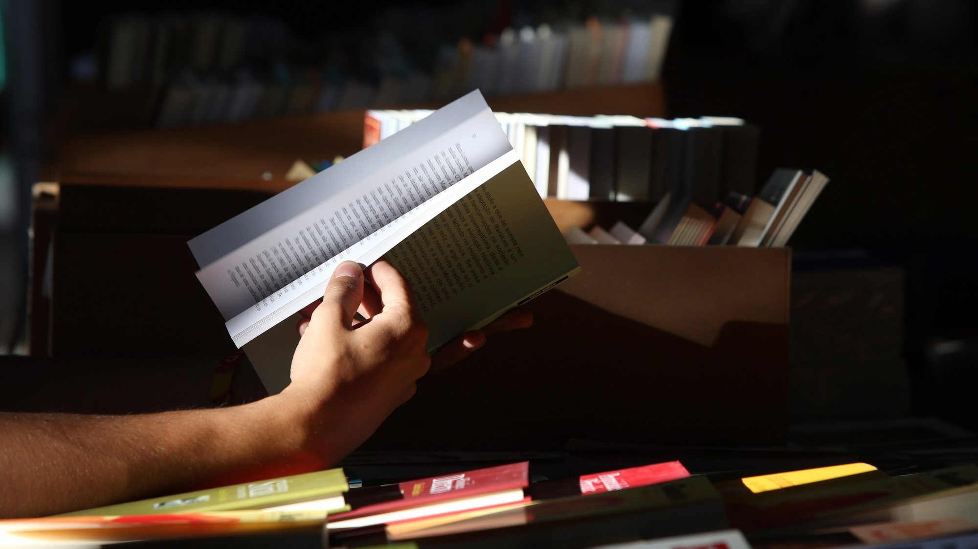 A iniciativa visa facilitar o acesso dos portugueses aos livros, numa altura em que a ida às livrarias é mais difícil