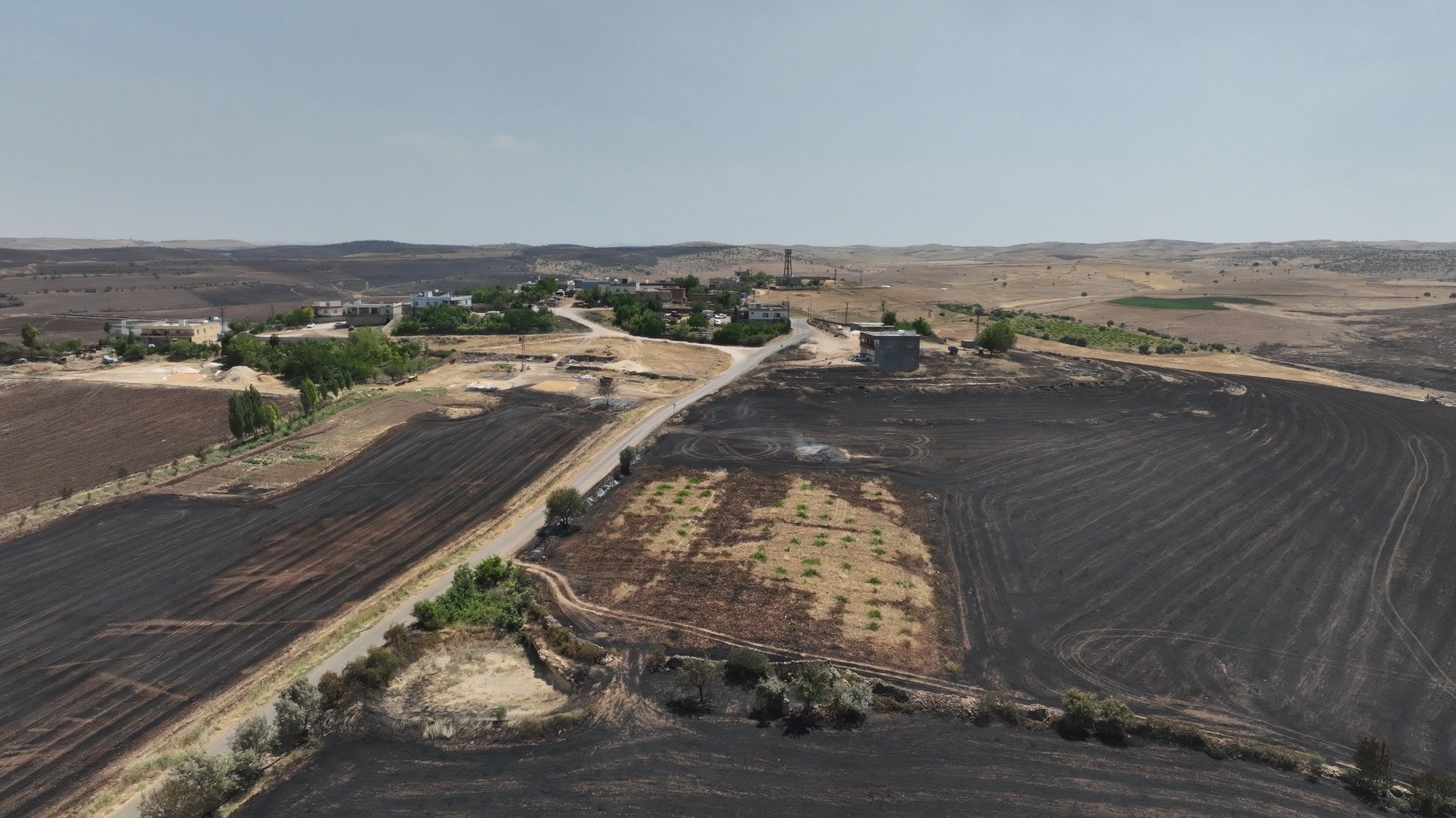 epa11428002 A handout photo made available by the Diyarbakir Municipality shows a view of the burned lands after a stubble fire at Diyarbakir, Turkey, 21 June 2024. Turkish Health Minister Fahrettin Koca announced that 11 people died and 78 people were affected by the stubble fires in Diyarbakır and Mardin provinces in southeastern Turkey.  EPA/DIYARBAKIR MUNICIPALITY HANDOUT  HANDOUT EDITORIAL USE ONLY/NO SALES HANDOUT EDITORIAL USE ONLY/NO SALES