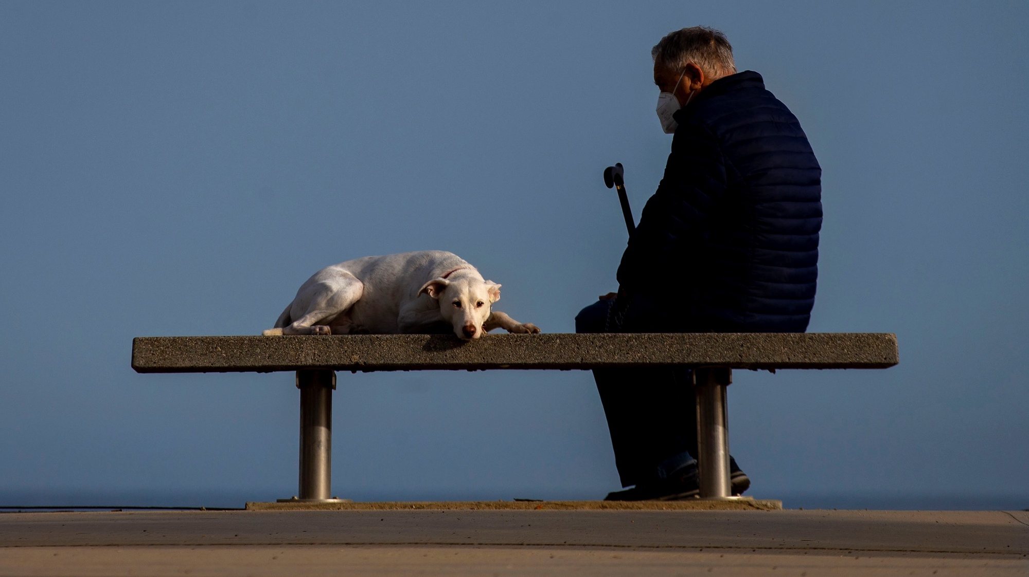 epaselect epa09111564 A man and his dog rest on a bench in Barcelona, Spain, 01 April 2021 (issued 02 April 2021). Authorities are speeding up the COVID-19 vaccination campaigns as the pandemic situation continues to deteriorate in Barcelona during the Holy Week.  EPA/Enric Fontcuberta