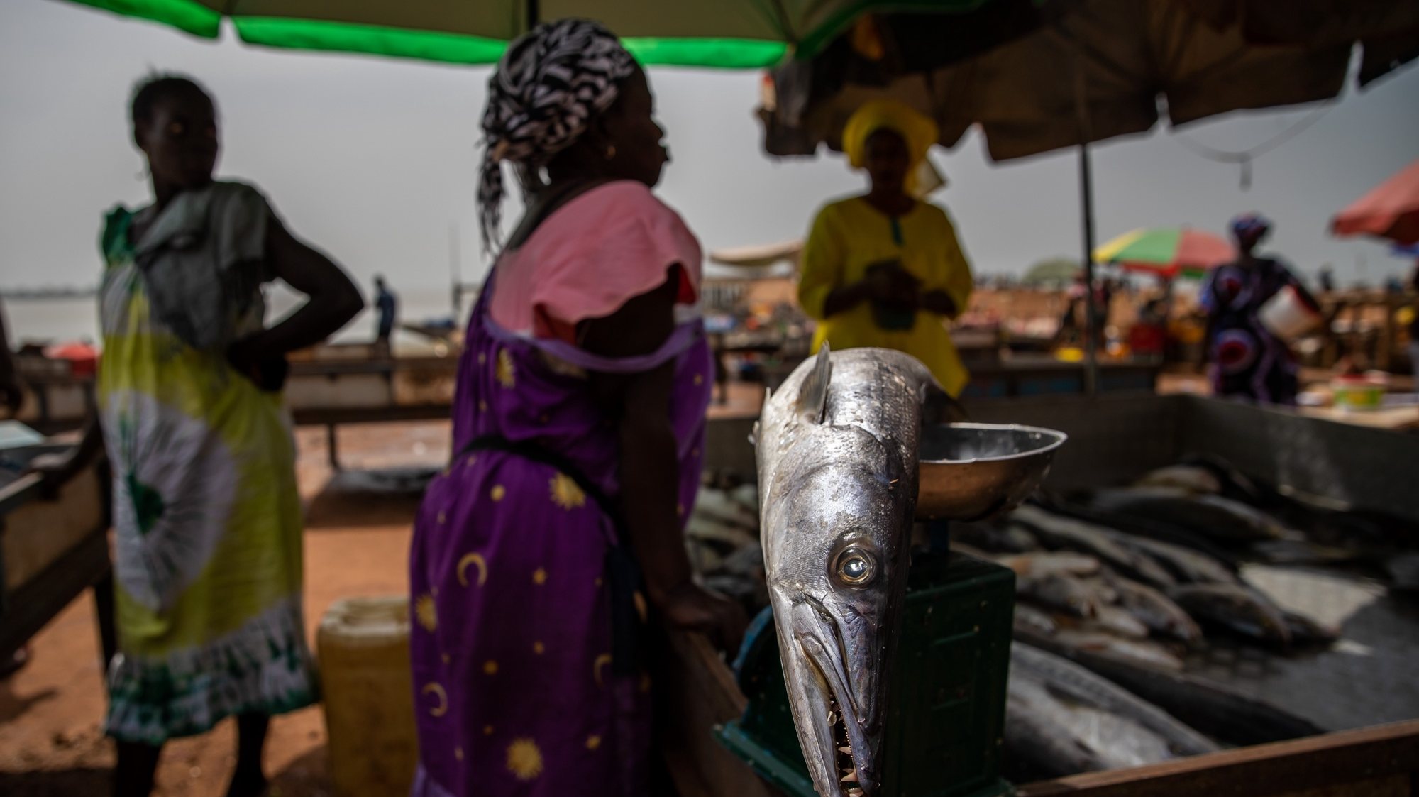 Comerciantes e populares negoceiam no mercado de peixe no Porto de Bissau, na Guiné-Bissau, 17 de maio de 2021. JOSÉ SENA GOULÃO/LUSA
