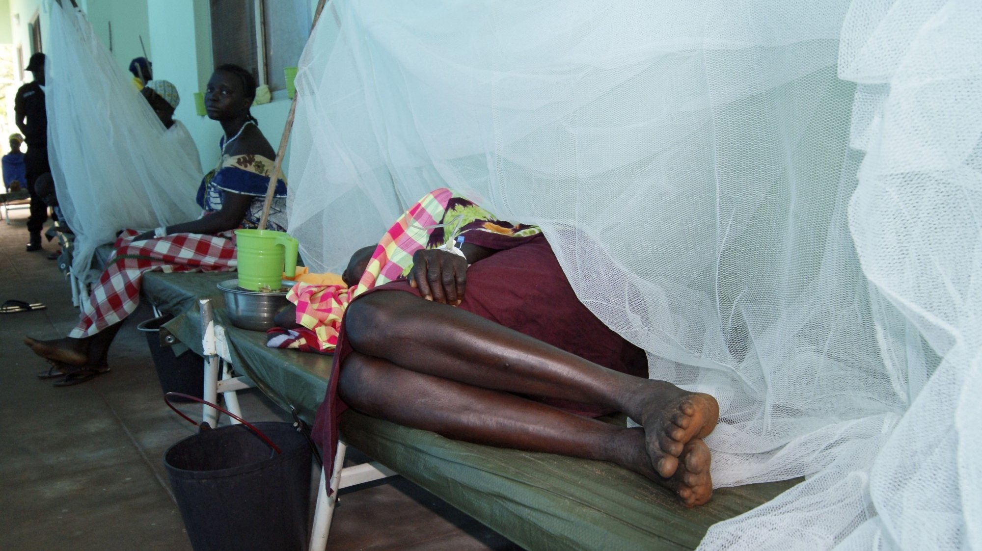Cólera da Guiné-Bissau