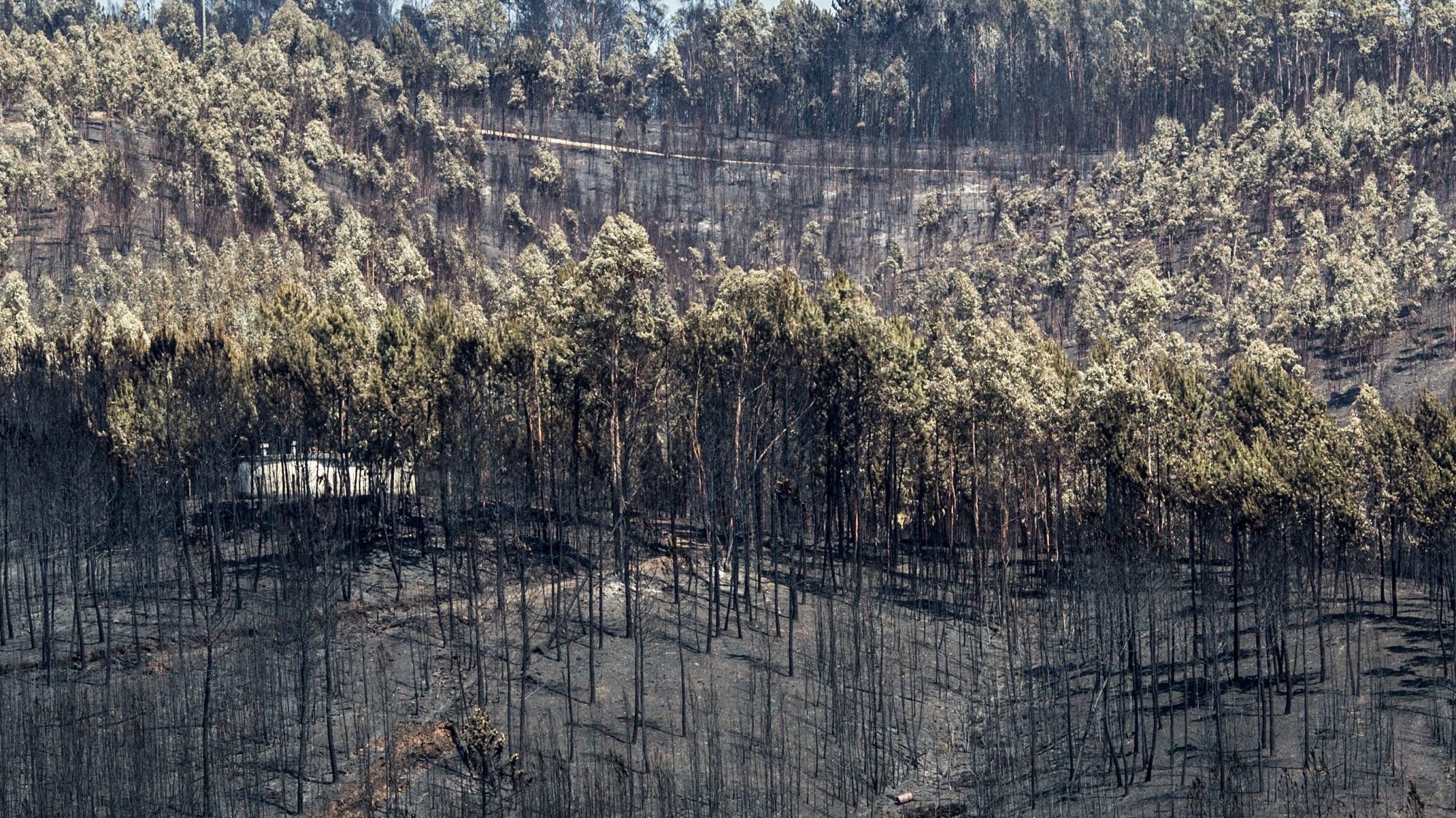 O incêndio deflagrou a 17 de junho de 2017 no concelho de Pedrógão Grande