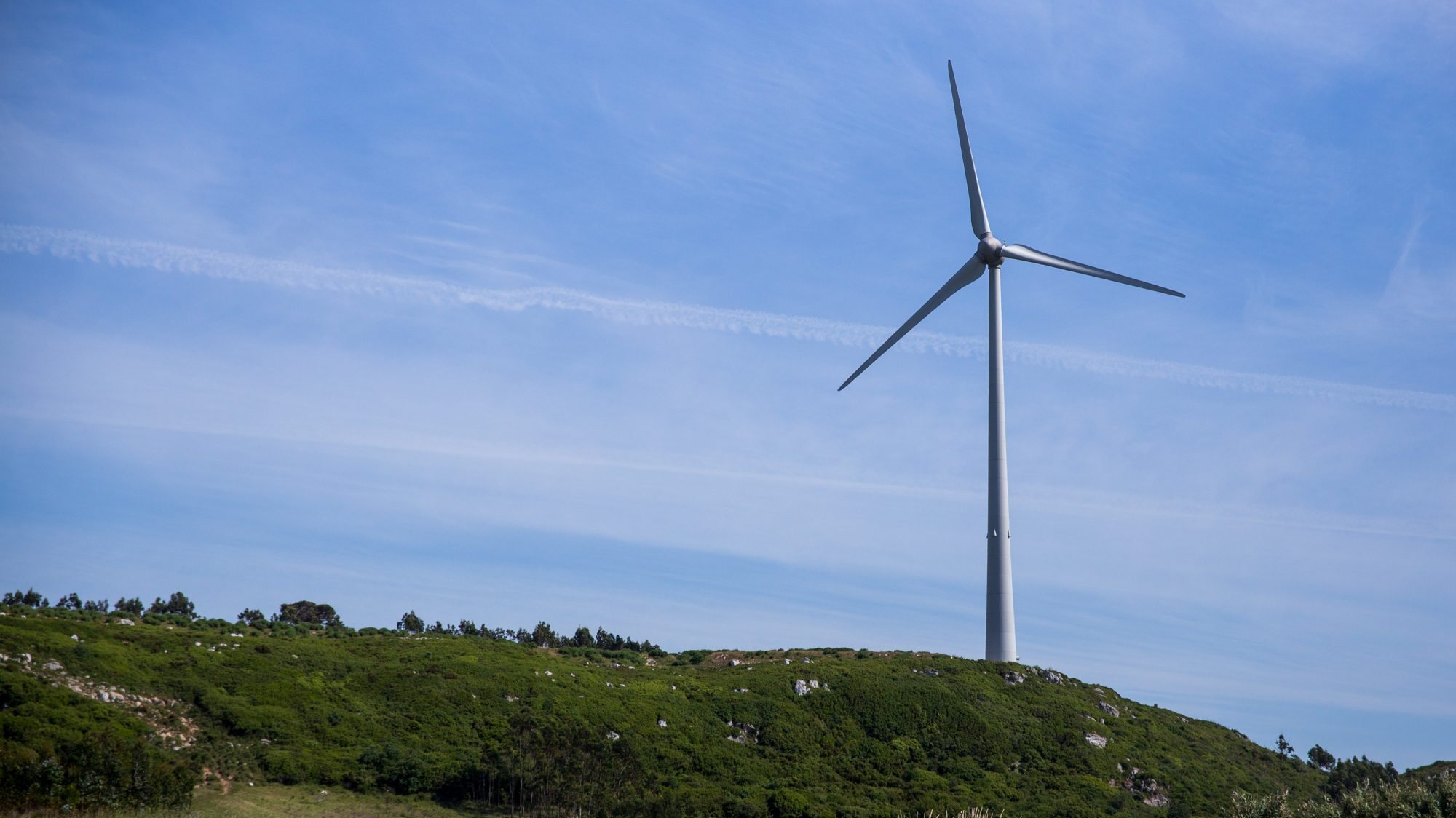Energia eólica, que utiliza o vento para a produção de energia, constituiu cerca de 25% do consumo de eletricidade em Portugal, em 2020