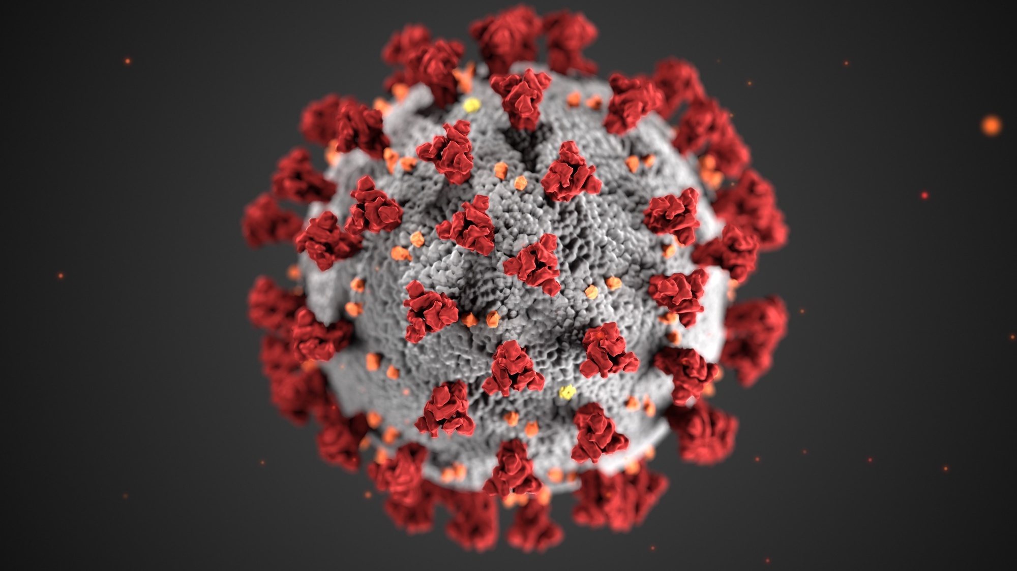 Uma ilustração que mostra a estrutura morfológica do coronavirus