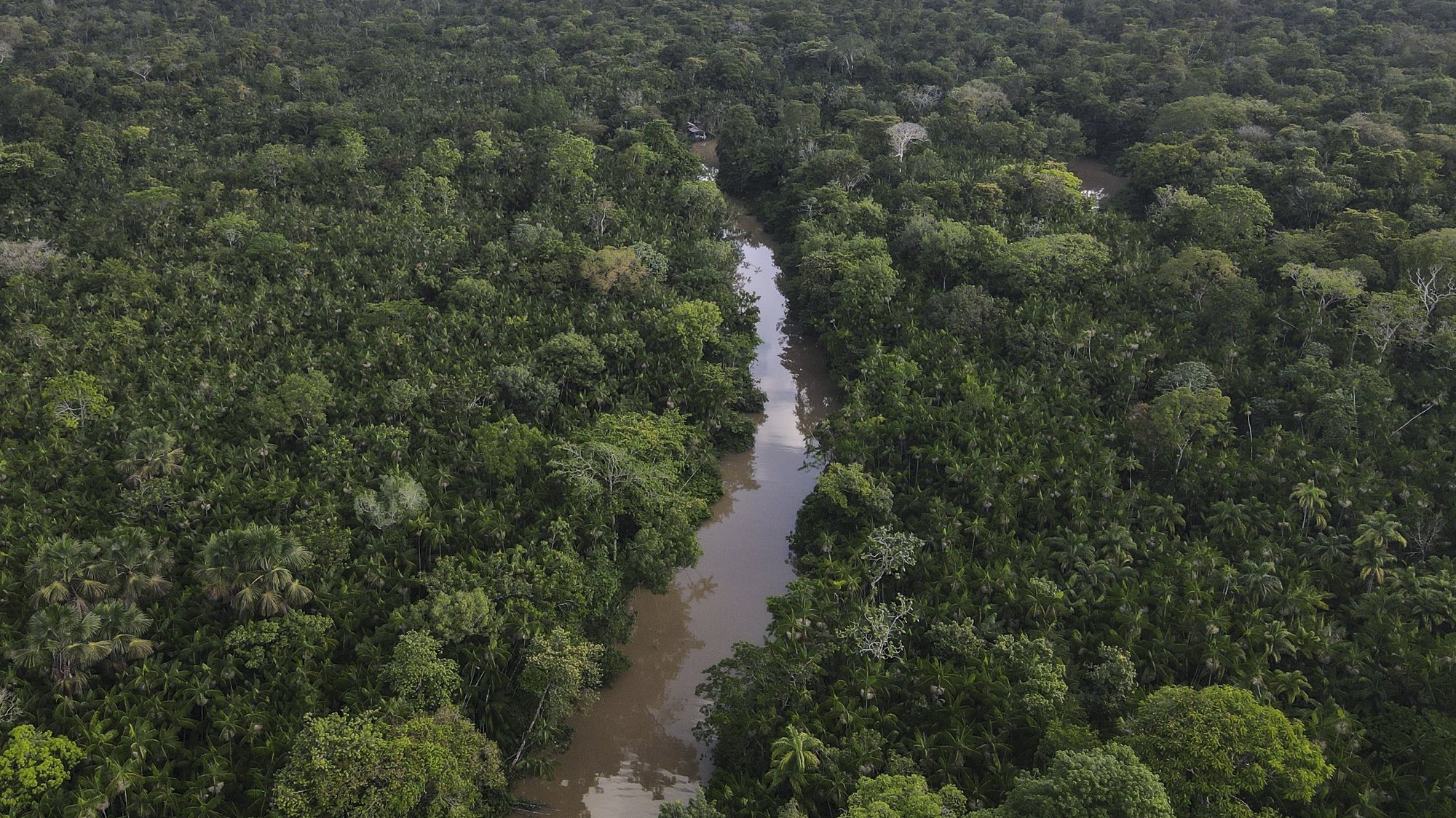 epa10789051 An aerial picture of the Amazon forest in the state of Para, northern Brazil, 06 August 2023 (Issued 07 August 2023). Amazonian countries heads of state will meet at the Amazon Cooperation Treaty Organization (ACTO) Summit on 08 and 09 August in the city of Belem, Brazil, to promote a new development model that will put an end to the cycle of destruction that devastates the largest tropical forest on the planet.  EPA/ANTONIO LACERDA