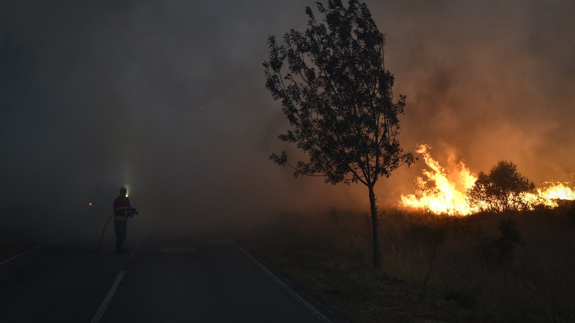 Um bombeiro combate um incêndio na freguesia de Vila Cortês do Mondego, Guarda, 13 de agosto de 2022. De acordo com a página da Autoridade Nacional de Emergência e Proteção Civil, o incêndio está a ser combativo por 1262 operacionais, apoiados por 375 viaturas. NUNO ANDRÉ FERREIRA/LUSA