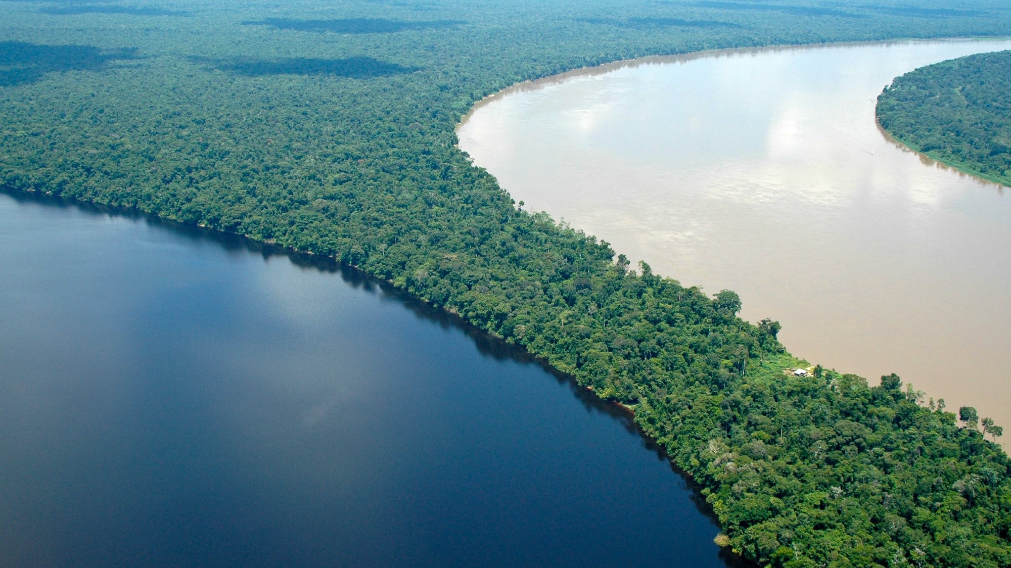 O encontro de dois grandes rios, Negro e Solimões na Amazónia, responsáveis por levar a umidade para todo o Brasil e gerar grande parte das chuvas em quase todas as regiões do país, podem &quot;secar&quot; face às mudanças climáticas globais e à desflorestação ilegal, 26 de Outubro de 2008. (ACOMPANHA TEXTO) MARGI MOSS/LUSA
+++EXCLUSIVO PARA UTILIZAÇÃO EDITORIAL+++