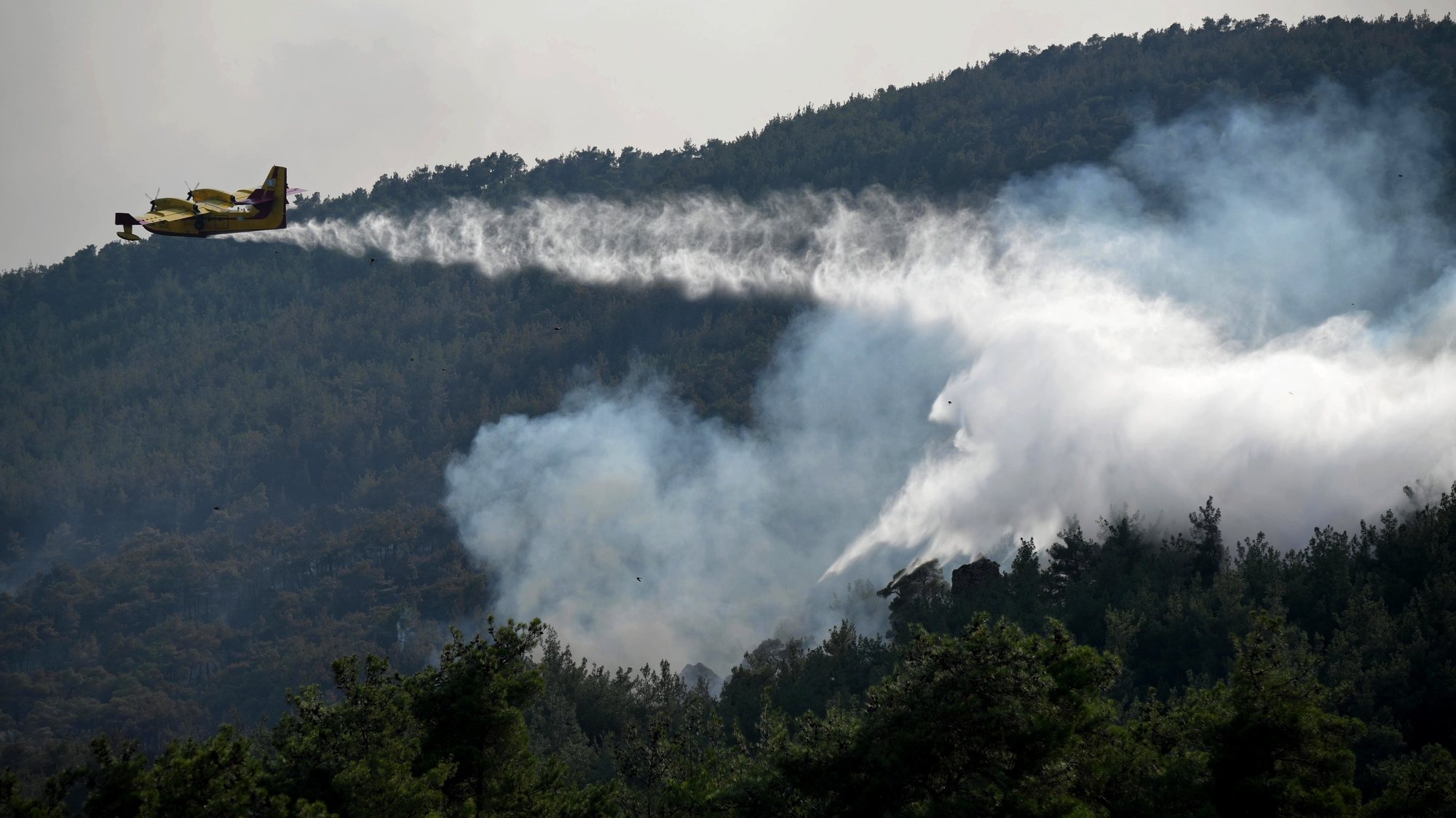 epa10818408 A firefighting aircraft operates during a wildfire at Dadia forest, Thrace, northern Greece, 24 August 2023. Greek and foreign firefighters and volunteers, along with land and air assistance, battled for a sixth day to contain and put out the large fire in the natural habitat of the Dadia Forest. The forest has suffered extensive damage and it is feared that Black Vultures (Aegypius monachus) that live in the forest along with another 35 species of birds of prey will be greatly affected. The smoke that has covered the area has made assessment of the damage impossible. Albanian firefighters who arrived with five fire trucks relieved their colleagues from Romania, while firefighters from the Czech Republic surveyed the area to organize their operations in the coming days.  EPA/DIMITRIS ALEXOUDIS