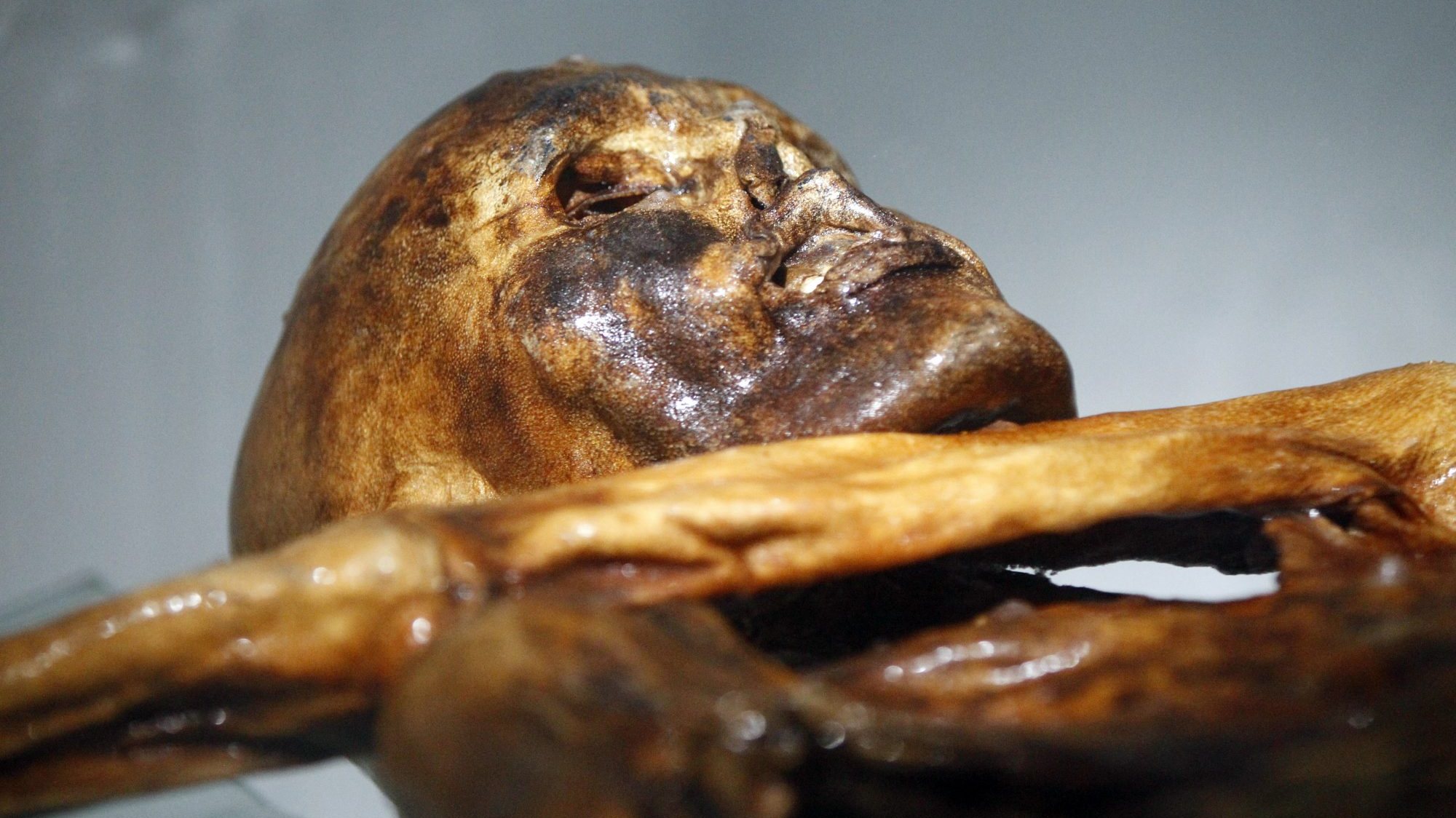 A múmia do homem do gelo tirolês foi encontrada nos Alpes em 1991. Ötzi morreu há cerca de 5.300 anos
