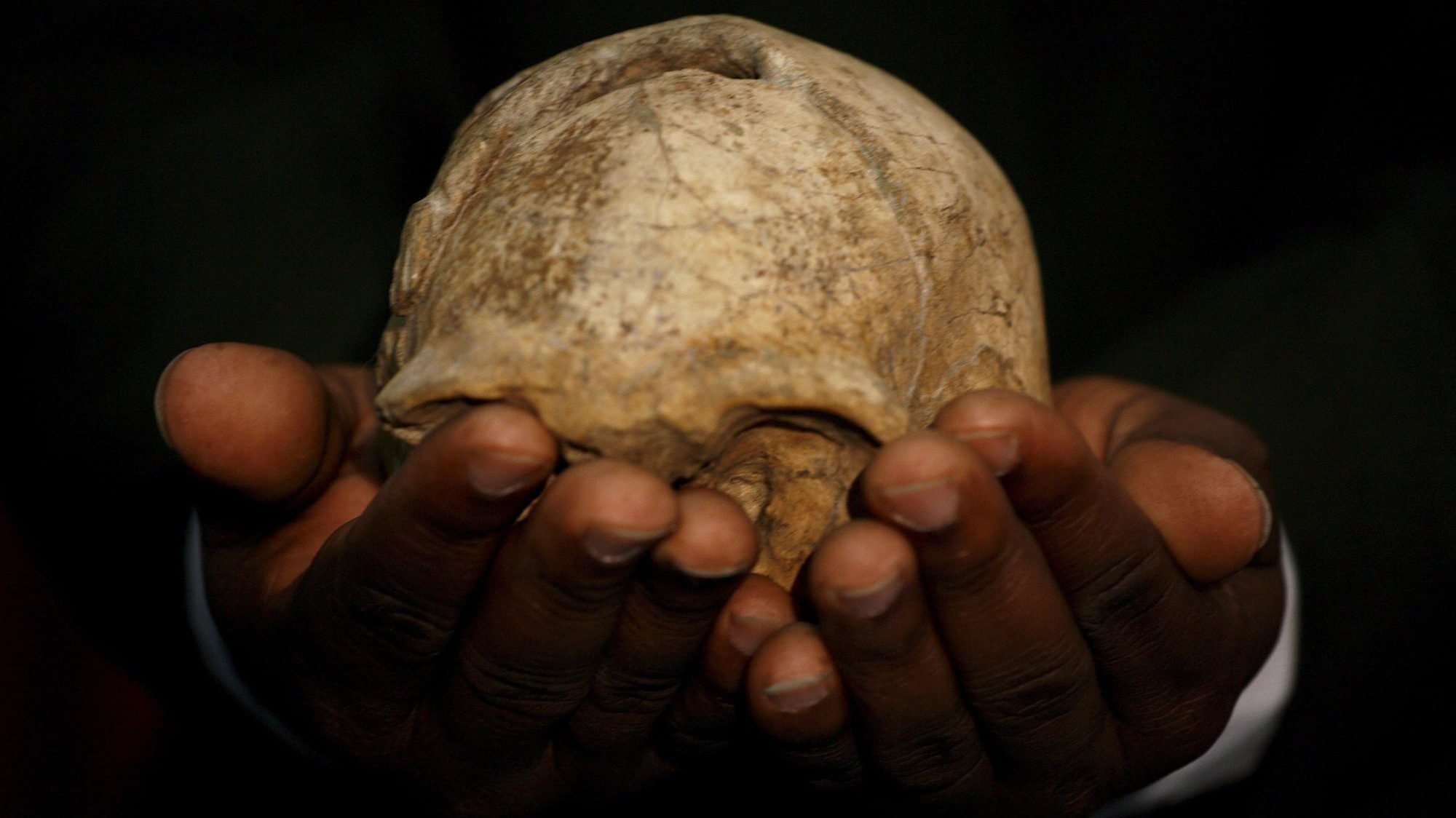 Um novo fóssil descoberto desafia a história da evolução humana. Um crânio descoberto em 2000 perto do lago Turkana, no Quénia.
