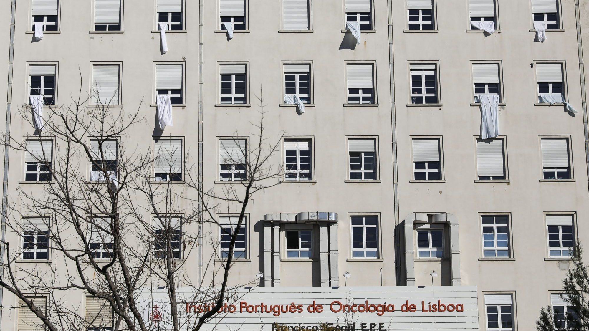 Por ano o IPO Lisboa recebe cerca de 15 mil novos utente