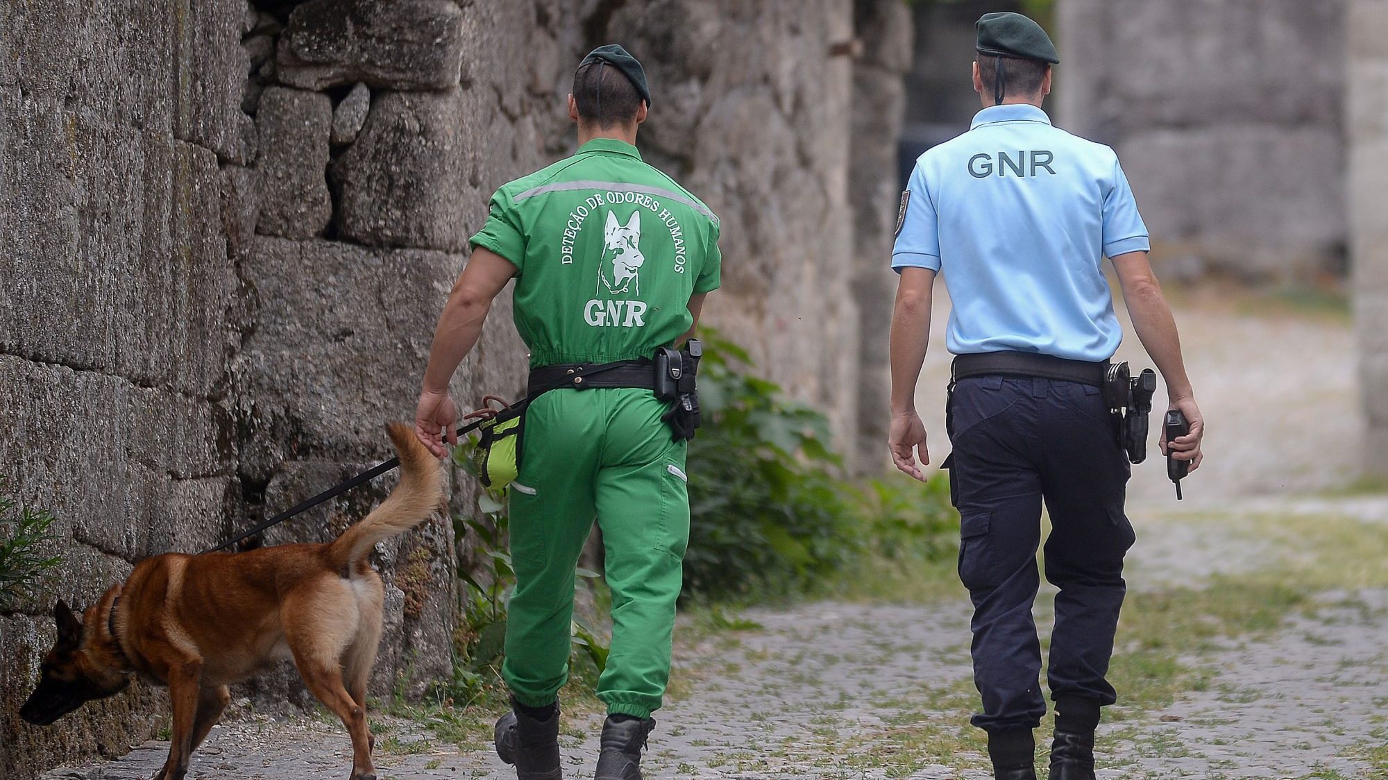 Fonte do Comando Territorial de Portalegre da GNR indicou que o idoso desapareceu na zona de Vale de Rondam