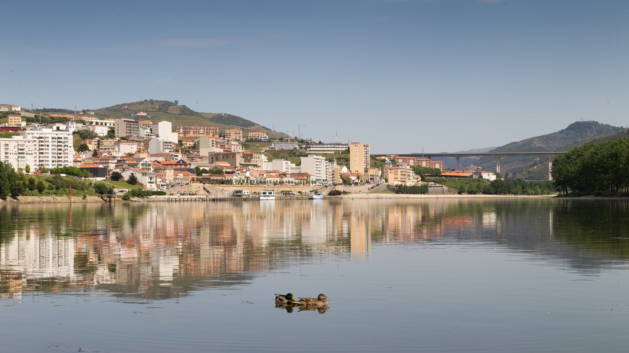 Marginal do rio Douro em Peso da Régua, distrito de Vila Real, 21 de abril de 2017. PEDRO SARMENTO COSTA / LUSA