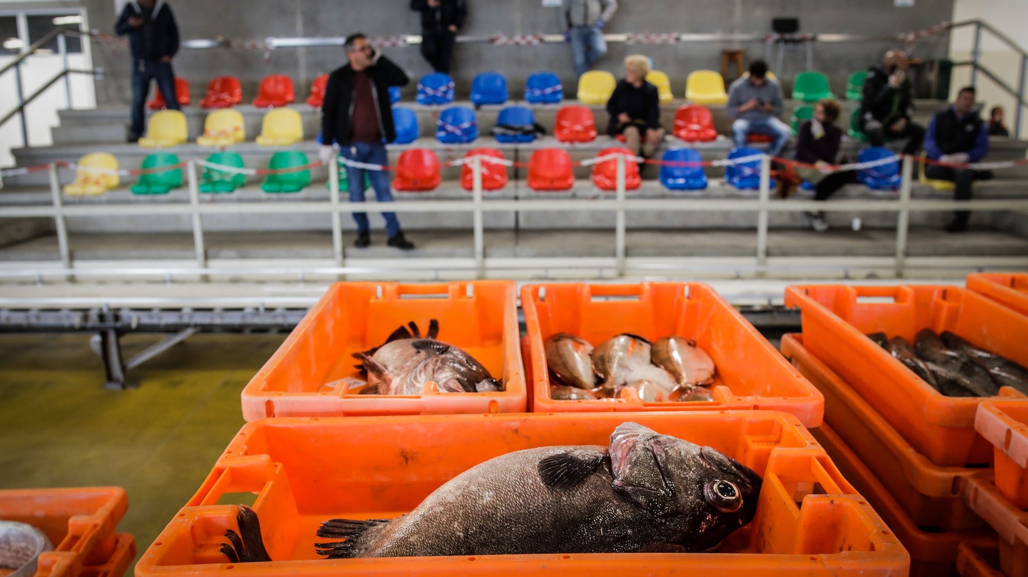 Comerciantes preparam-se para licitar peixe na lota de Peniche, 20 de março de 2020. O encerramento de estabelecimentos de restauração leva à queda do preço do pescado grosso e pode levar algumas embarcações a ir ao mar pescar com menos frequência, pelo perigo de contágio do coronavirus Covid -19. PAULO CUNHA /LUSA