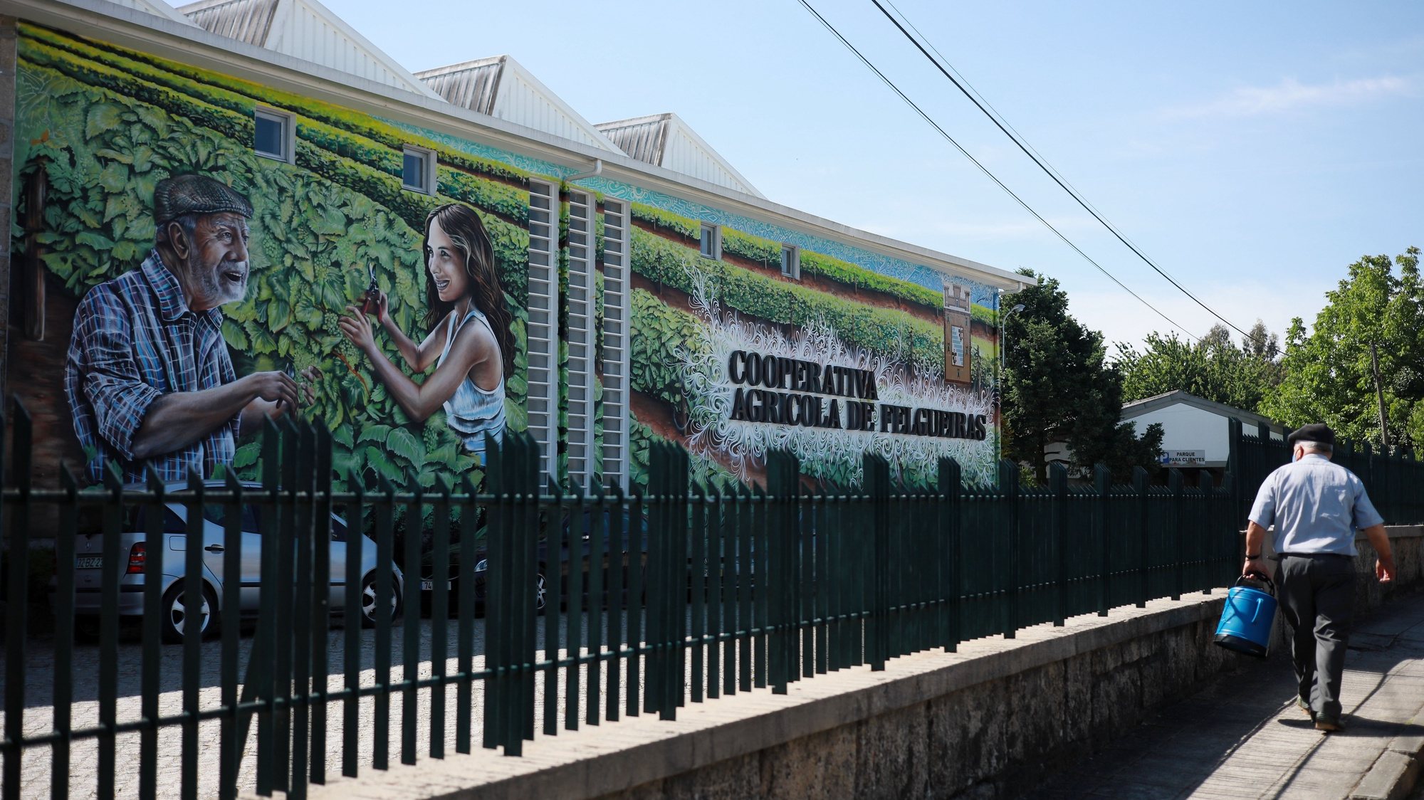 A Cooperativa Agrícola de Felgueiras está a partilhar parte dos lucros de 2020, bonificando o valor a atribuir aos viticultores e oferecendo milhares de garrafas de vinho aos restaurantes, ajudando-os no impacto da covid-19 no negócio, Felgueiras, 26 de maio 2021. (ACOMPANHA TEXTO DE 29/05/2021) ESTELA SILVA/LUSA
