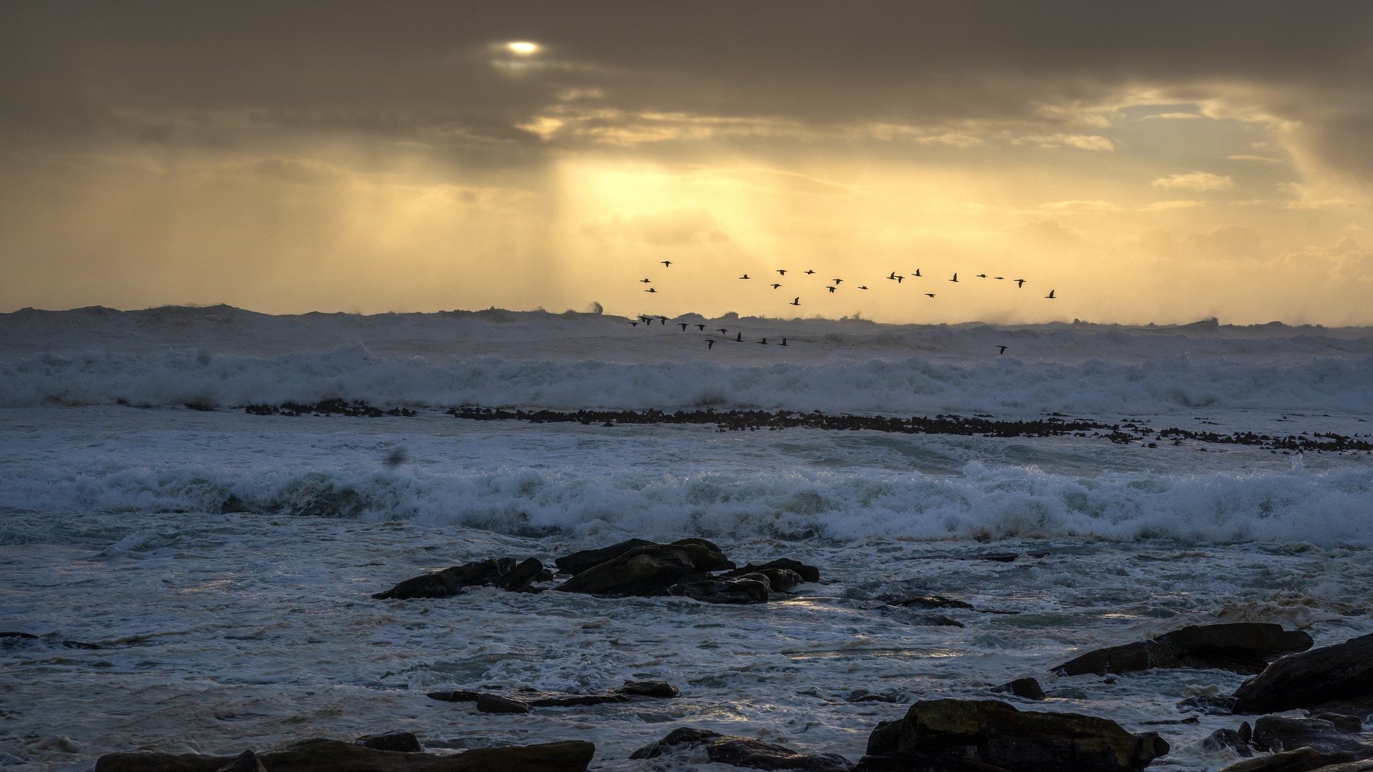 epa08543774 Cormorants fly over the Atlantic ocean during a storm in Cape Town, South Africa, 13 July 2020. The third in a succession of powerful cold fronts have swept over the peninsula causing extensive damage. Waves in excess of ten meters have been crashing into the Cape&#039;s west coast with gale force winds, flooding, uprooted trees and some roofs been blown off houses being reported.  EPA/NIC BOTHMA