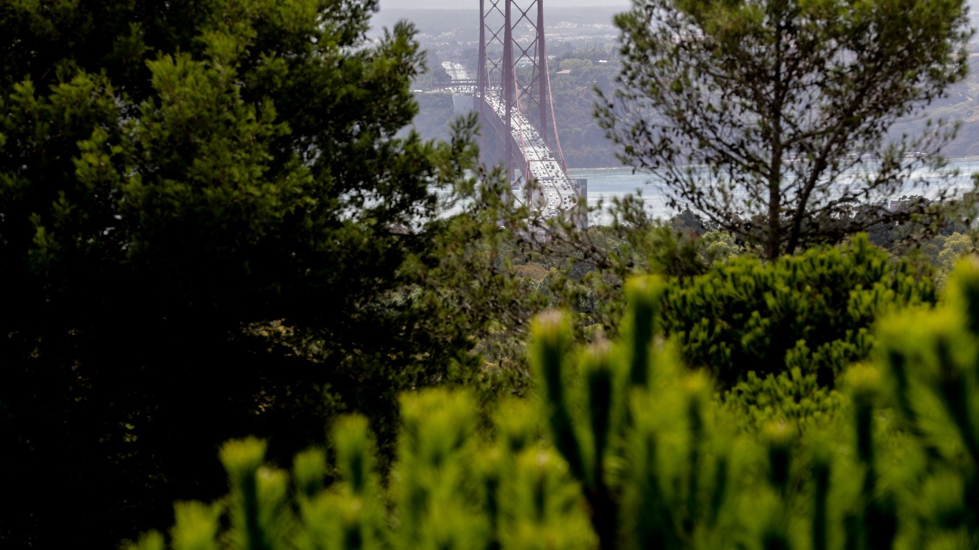Vista da Ponte 25 de Abril de Monsanto em Lisboa, 08 de novembro de 2021. TIAGO PETINGA/LUSA