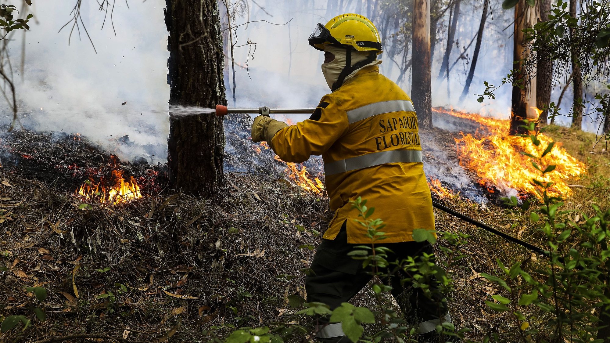 Um sapador florestal combate as chamas do fogo, junto à aldeia de Rebolo, durante o incêndio que começou em Abiul, Pombal, na passada sexta-feira, Rebolo, Ansião, 14 de julho de 2022. PAULO NOVAIS/LUSA