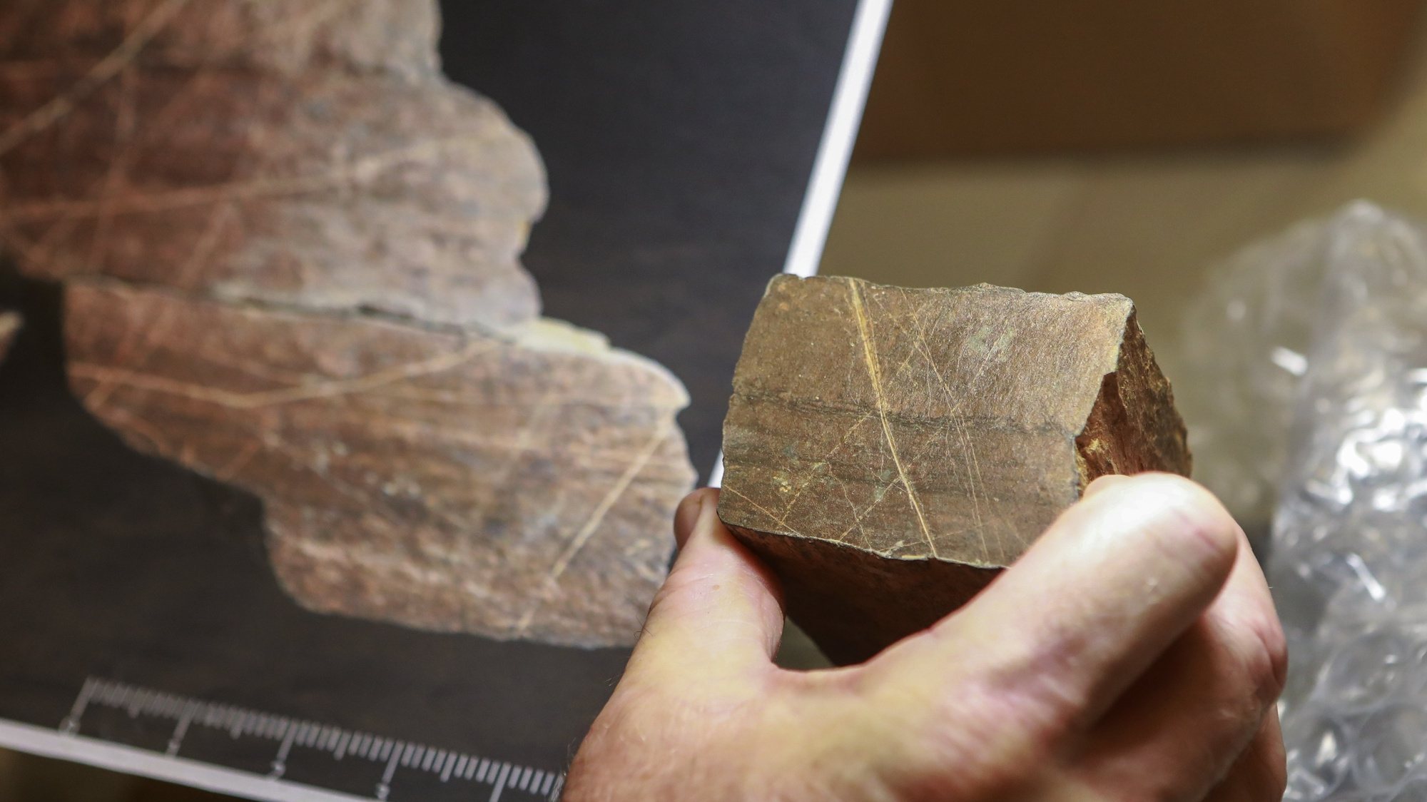Arqueólogos do Côa colocaram a descoberto um novo fragmento de rocha, gravada com uma técnica diferente da chamada “Arte Do Côa”, que poderá ter cerca de 16 mil anos, Vila Nova de Foz Côa, 8 de agosto de 2022. (ACOMPANHA TEXTO) MIGUEL PEREIRA DA SILVA/LUSA
